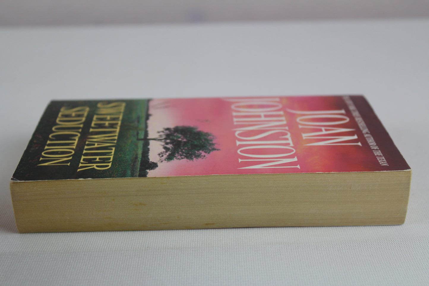 Sweetwater Seduction: A Novel by Joan Johnston