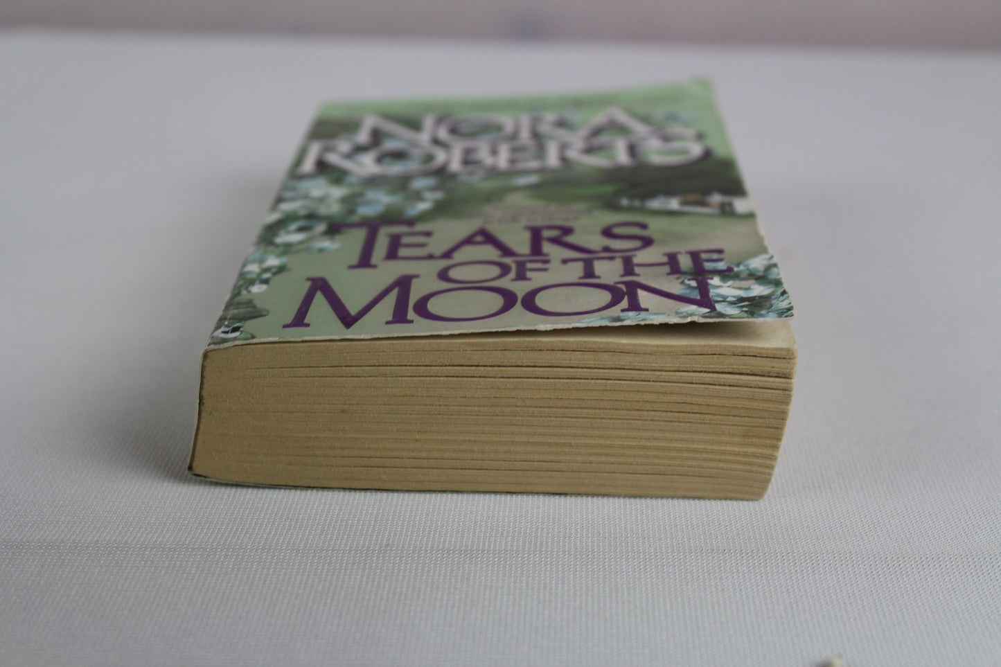 Tears of the Moon  (Irish Trilogy, Book 2) by Nora Roberts