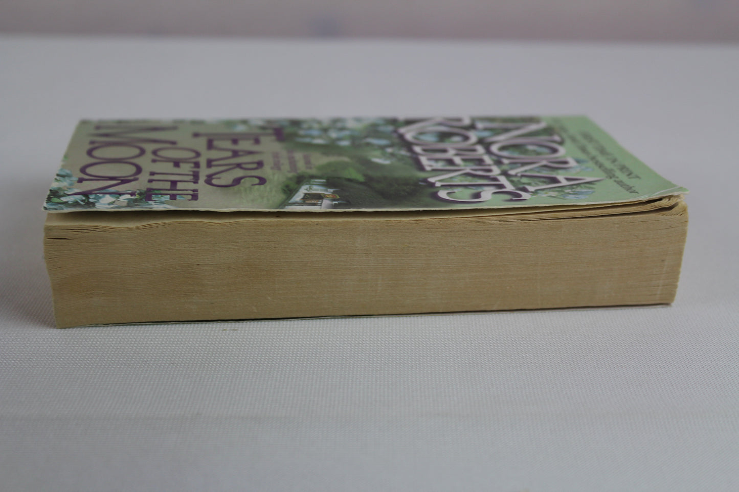 Tears of the Moon  (Irish Trilogy, Book 2) by Nora Roberts