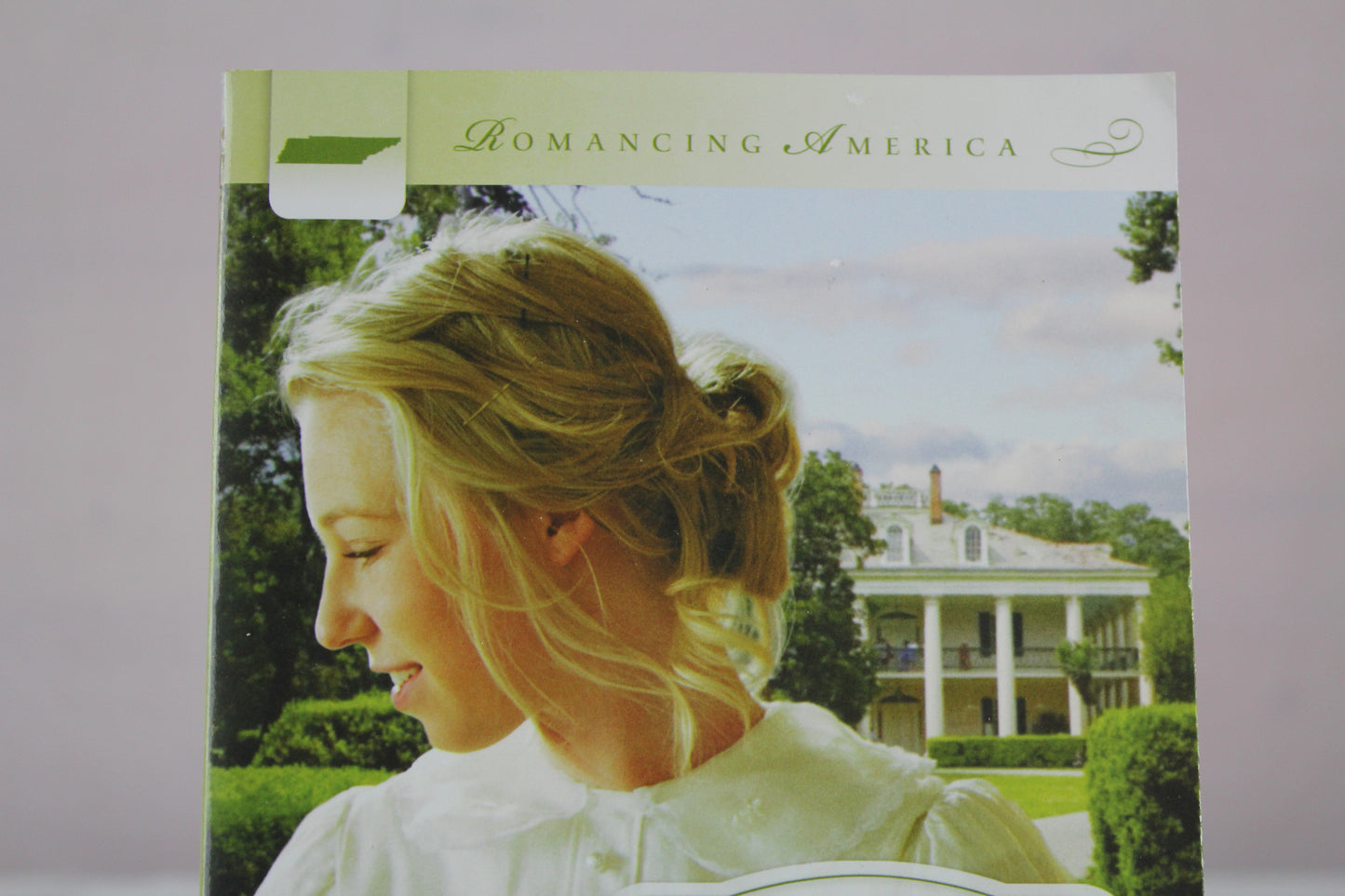 Tennessee Brides (Romancing America) by Diane Ashley, Aaron McCarver