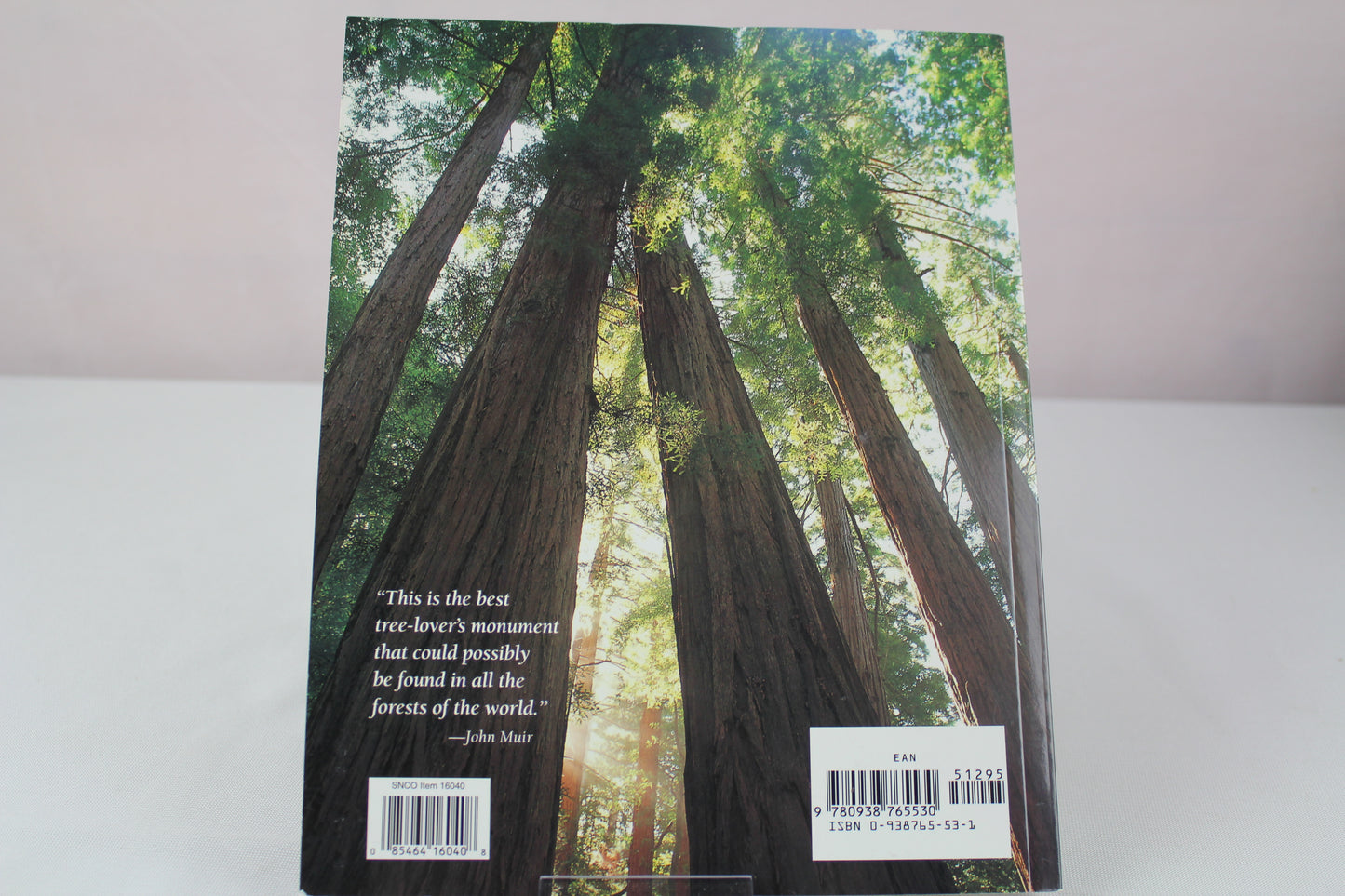 Muir Woods: The Ancient Redwood Forest Near San Francisco by James M. Morley