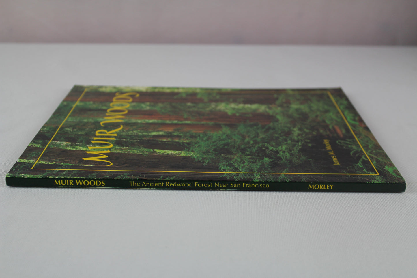 Muir Woods: The Ancient Redwood Forest Near San Francisco by James M. Morley