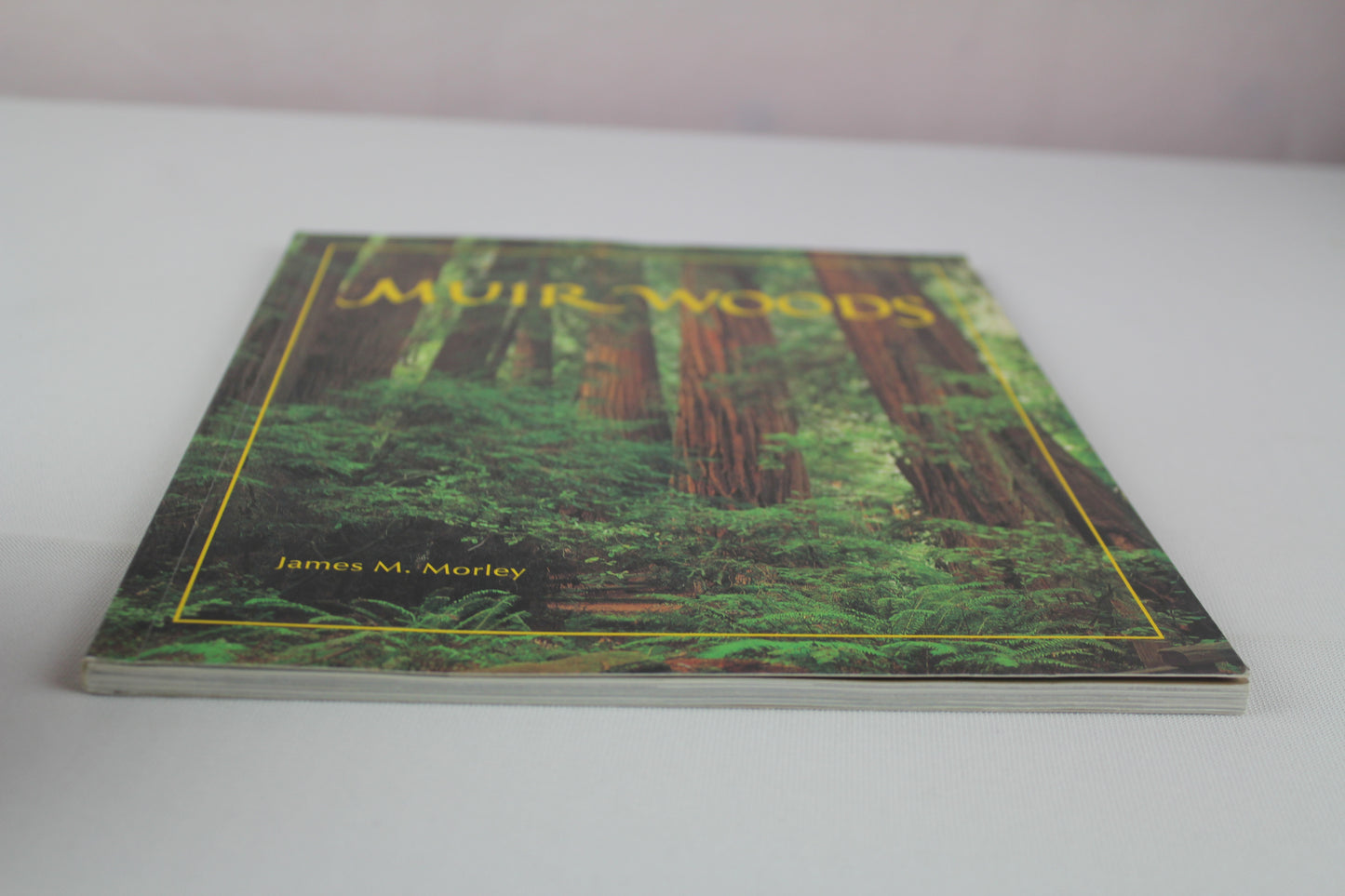 Muir Woods: The Ancient Redwood Forest Near San Francisco by James M. Morley