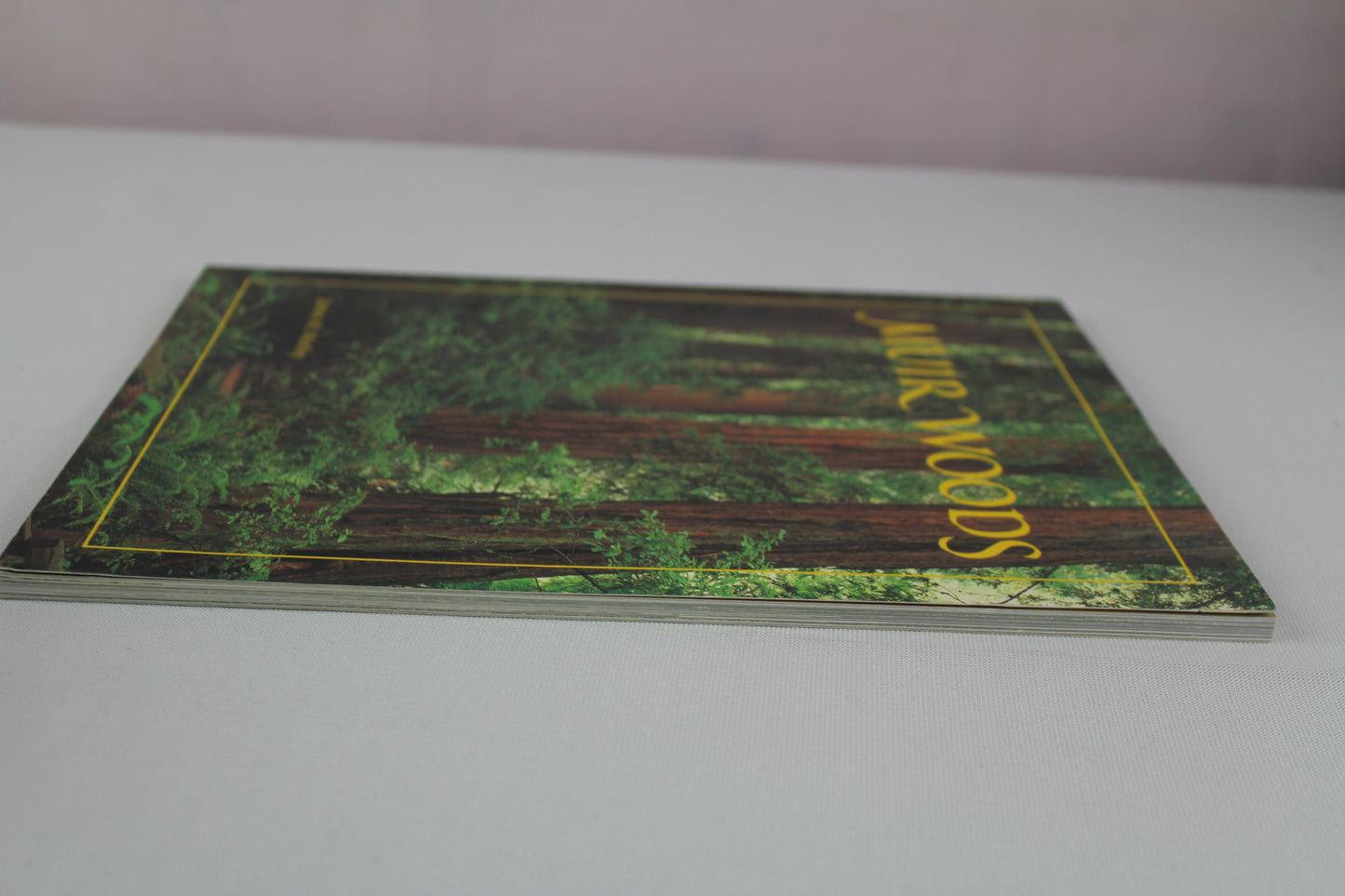 Muir Woods: The Ancient Redwood Forest Near San Francisco by James M. Morley