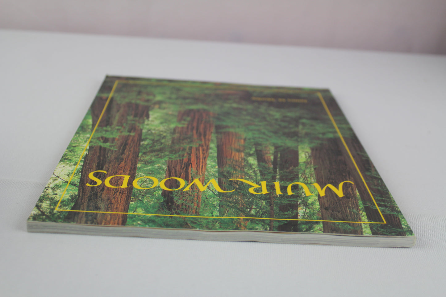 Muir Woods: The Ancient Redwood Forest Near San Francisco by James M. Morley
