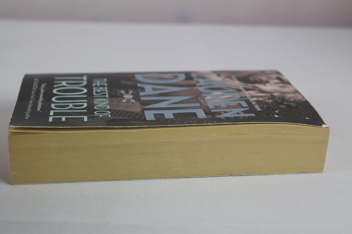 The Best Kind of Trouble (The Hurley Boys) by Lauren Dane