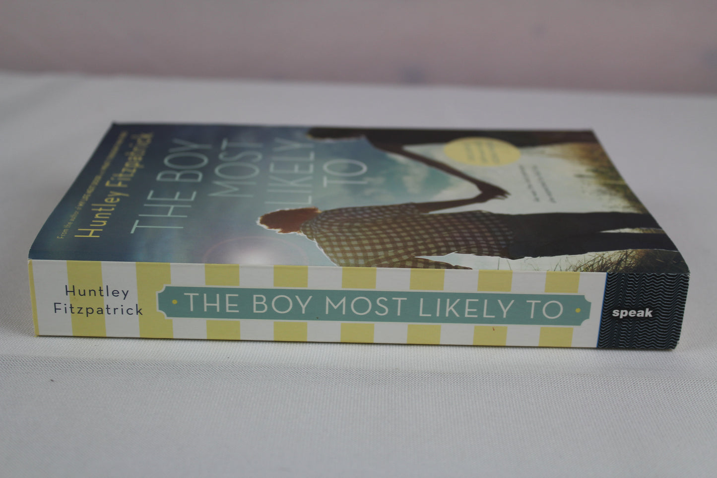The Boy Most Likely To by Huntley Fitzpatrick