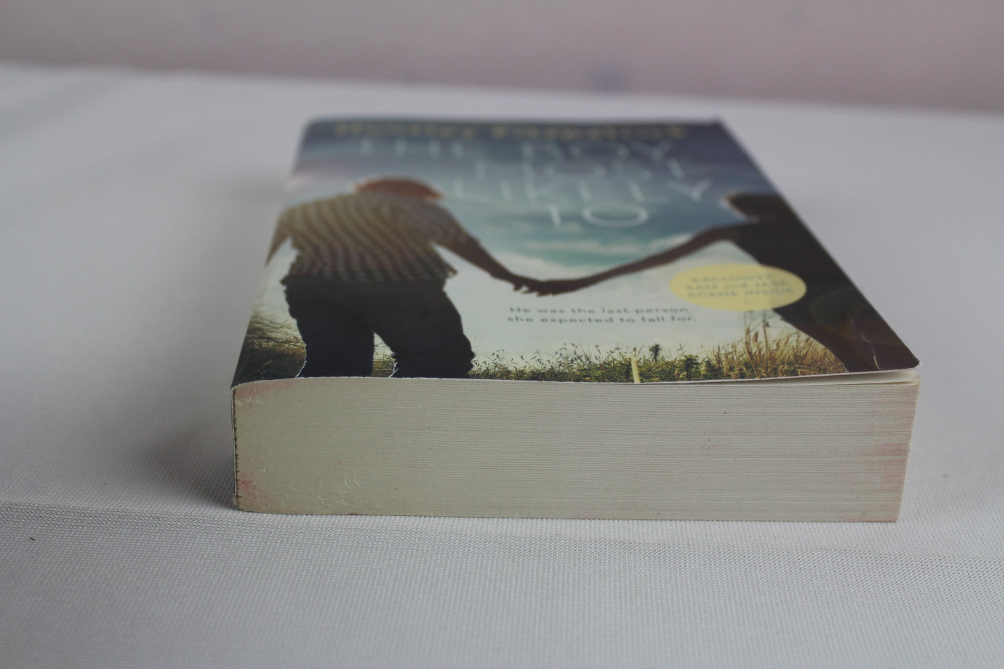 The Boy Most Likely To by Huntley Fitzpatrick