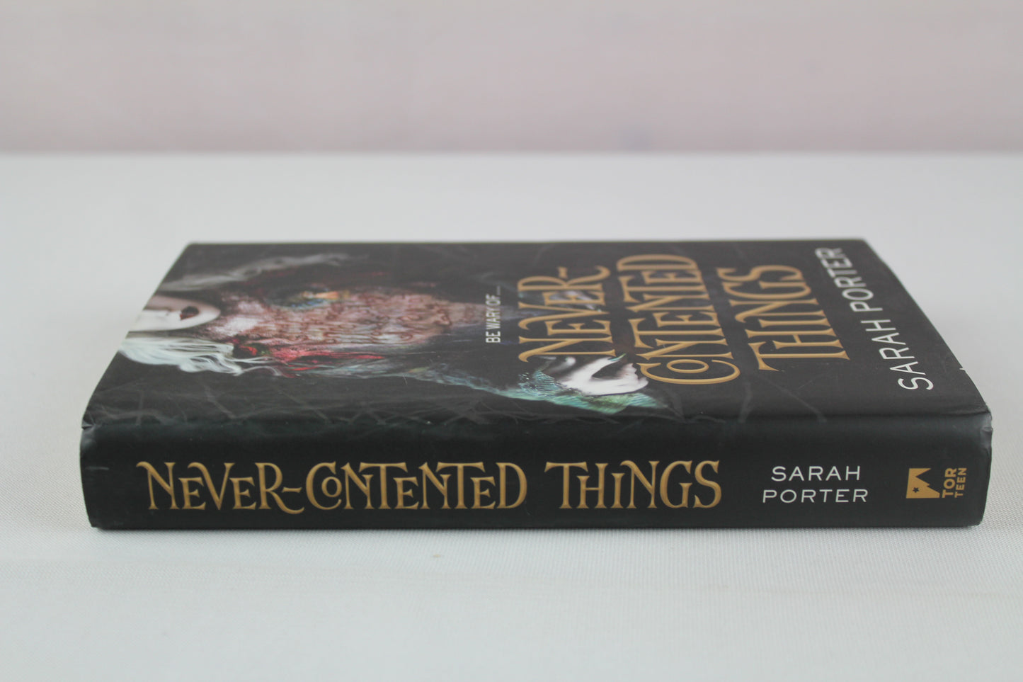 Never-Contented Things by Sarah Porter