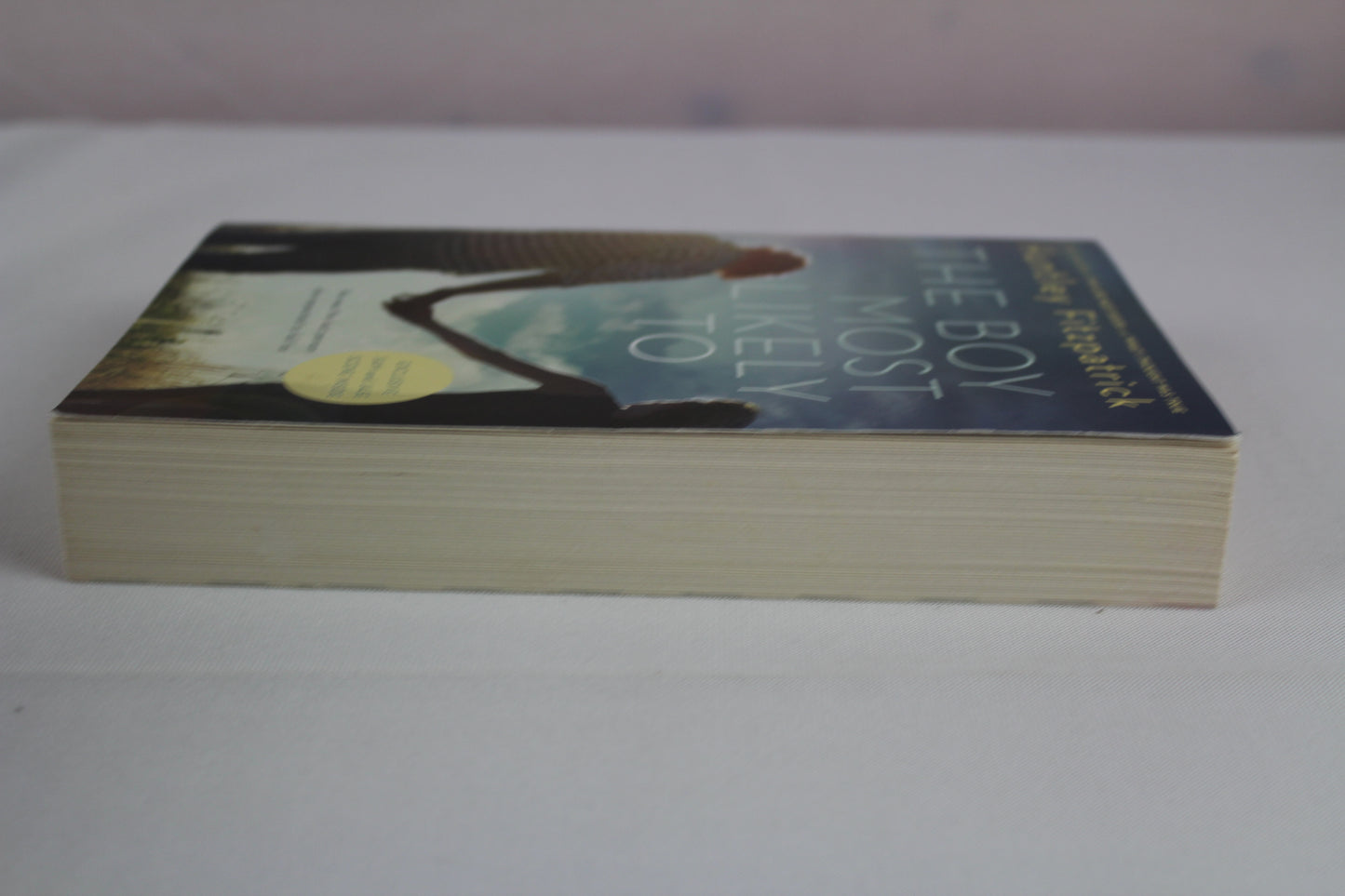 The Boy Most Likely To by Huntley Fitzpatrick
