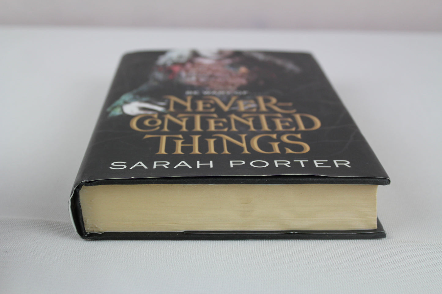 Never-Contented Things by Sarah Porter