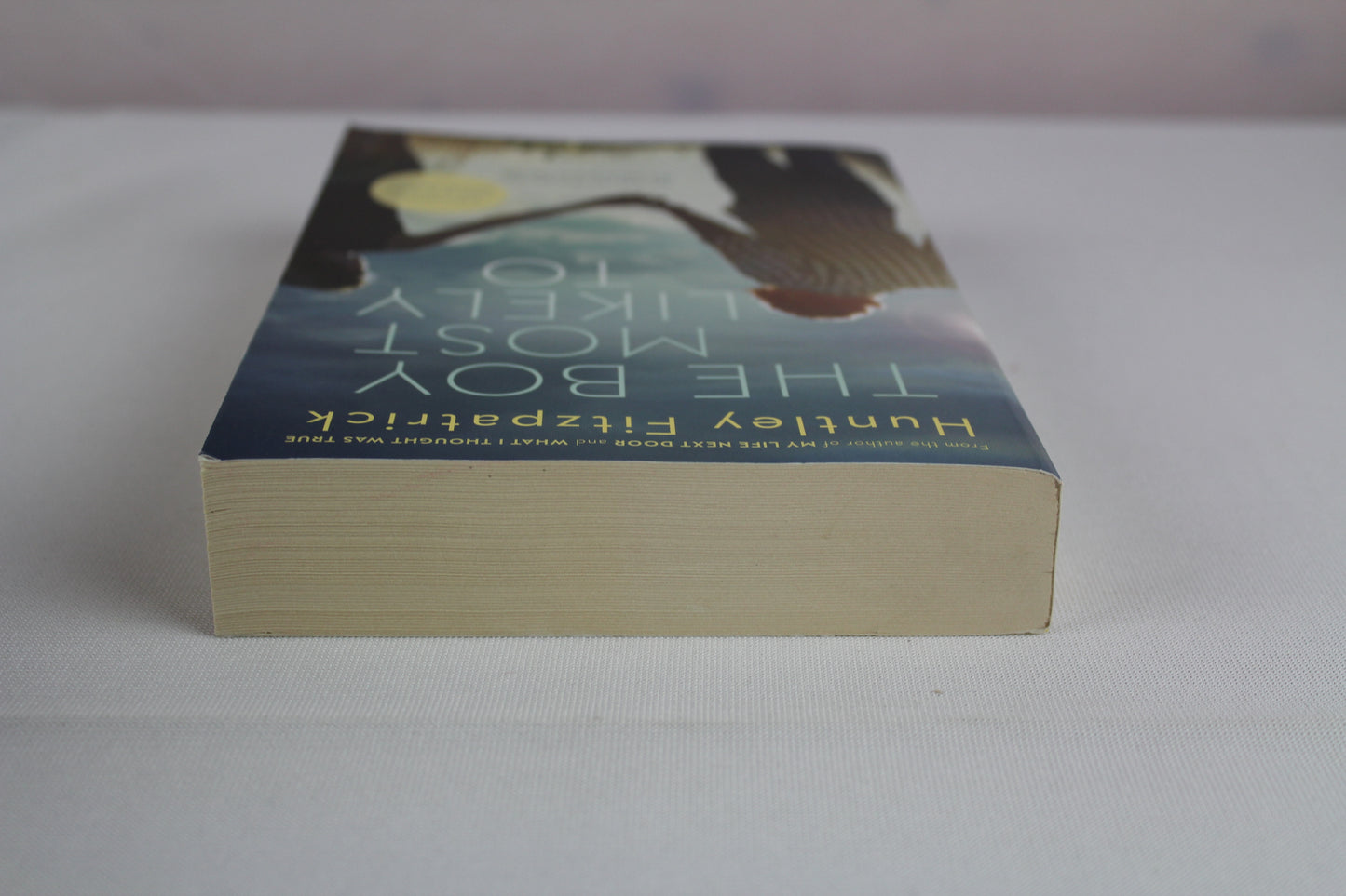 The Boy Most Likely To by Huntley Fitzpatrick