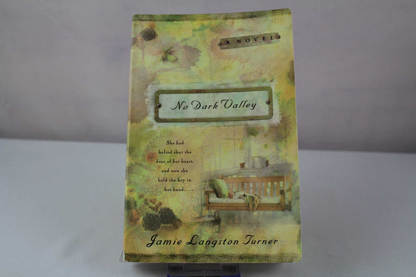 No Dark Valley (The Derby Series #5) by Jamie Langston Turner