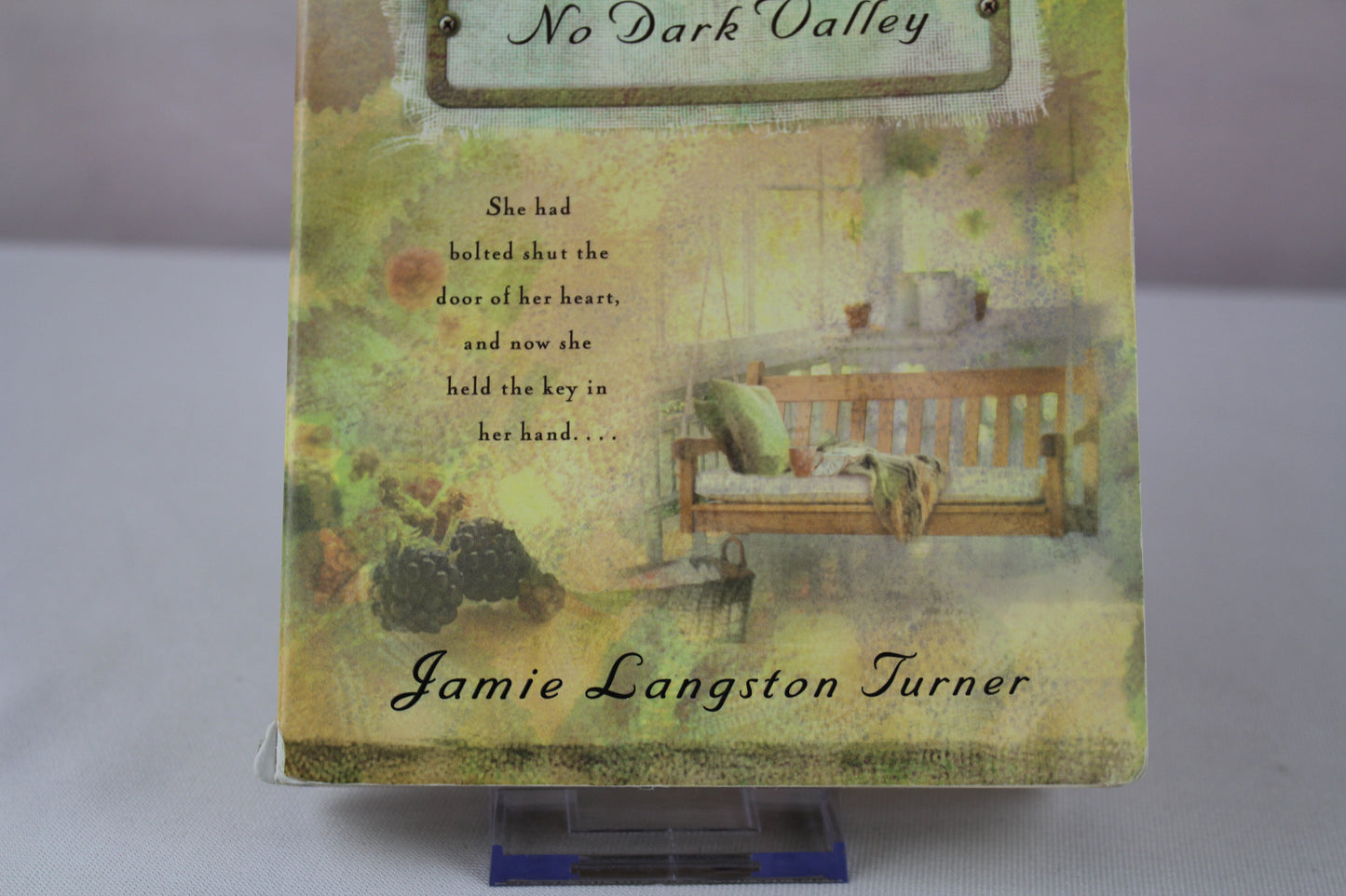 No Dark Valley (The Derby Series #5) by Jamie Langston Turner