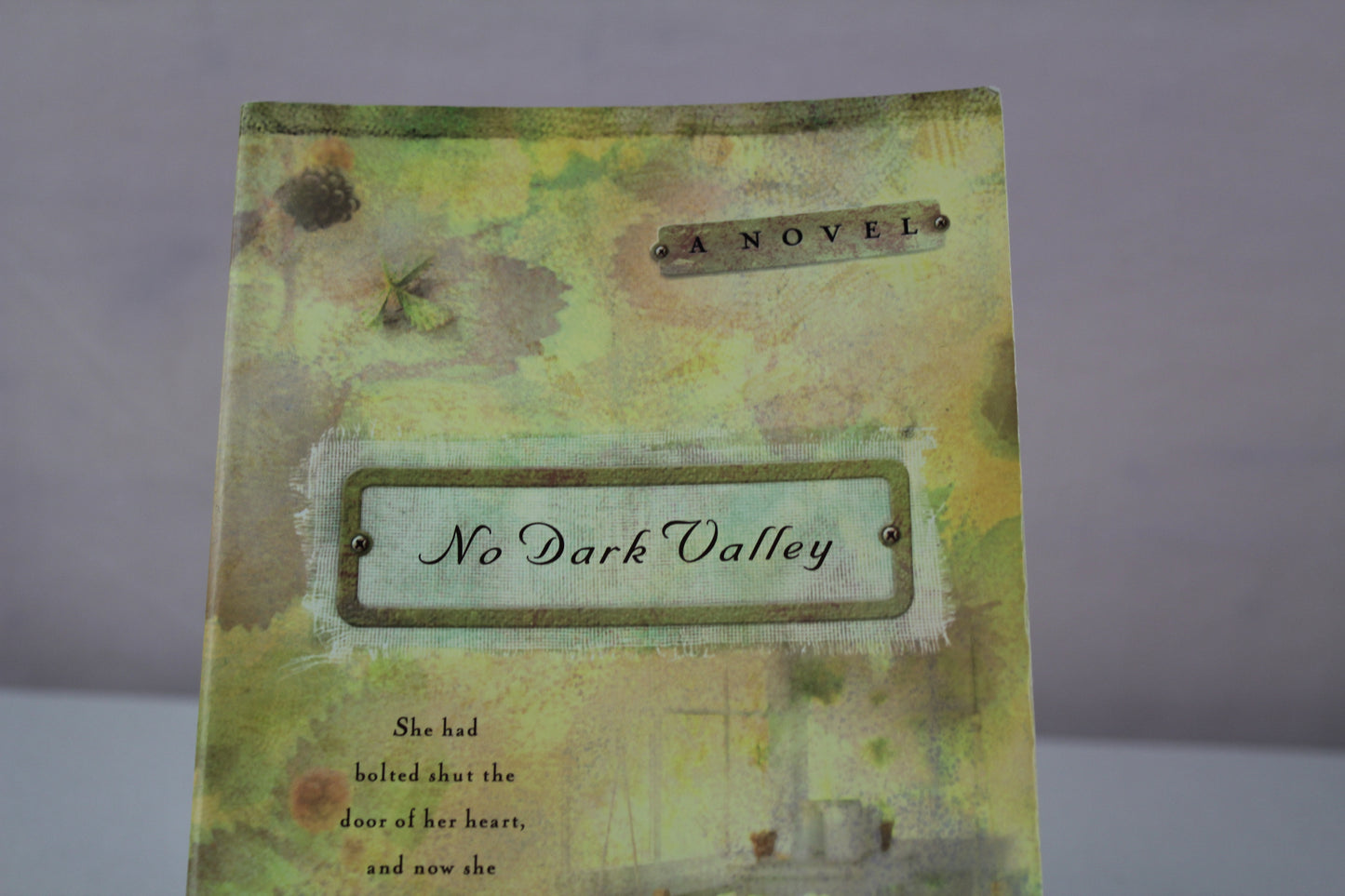 No Dark Valley (The Derby Series #5) by Jamie Langston Turner