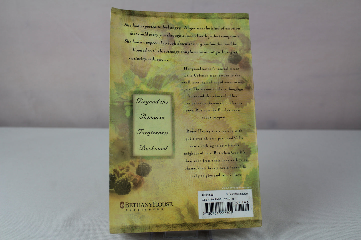 No Dark Valley (The Derby Series #5) by Jamie Langston Turner