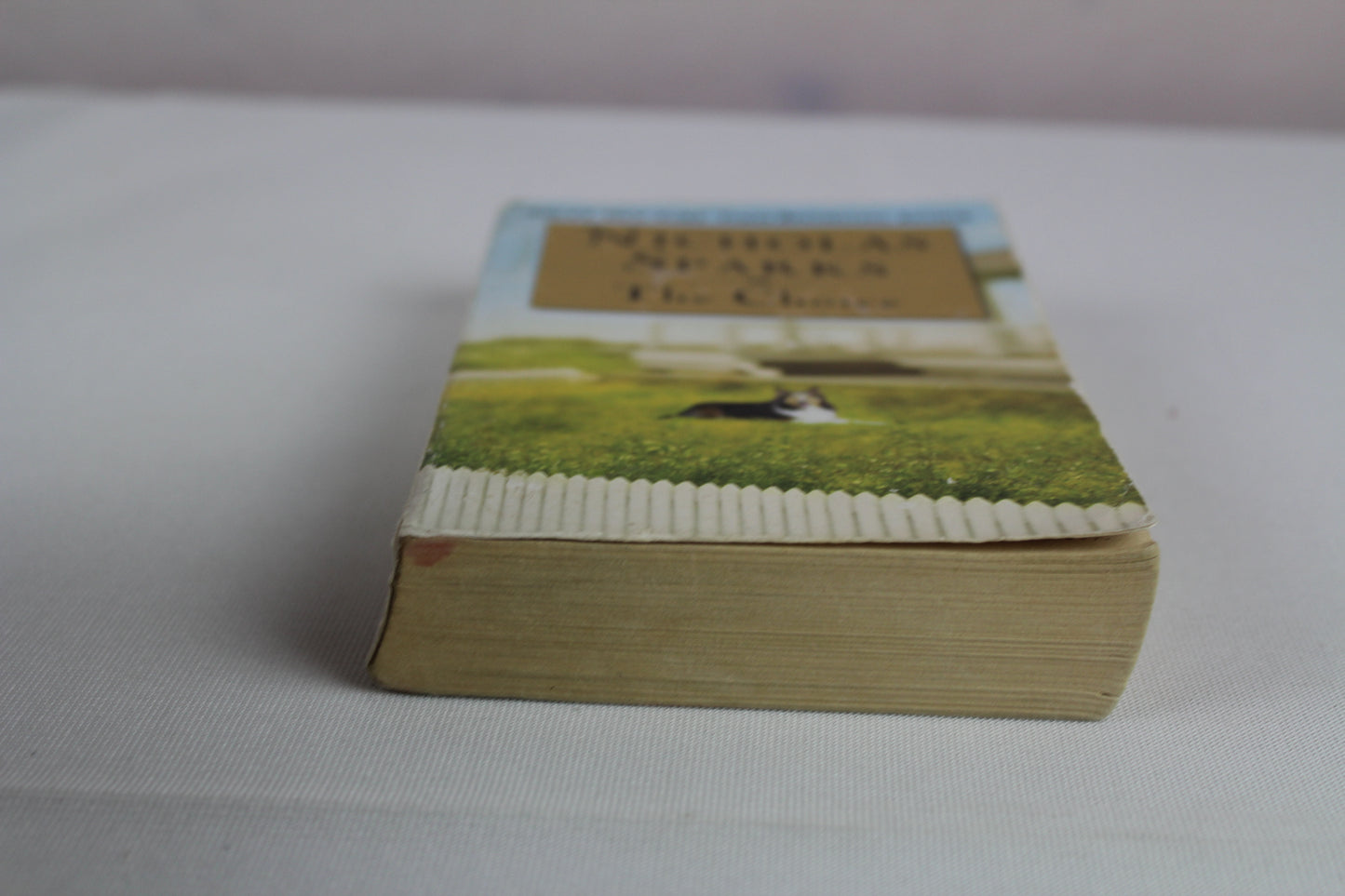 The Choice by Nicholas Sparks