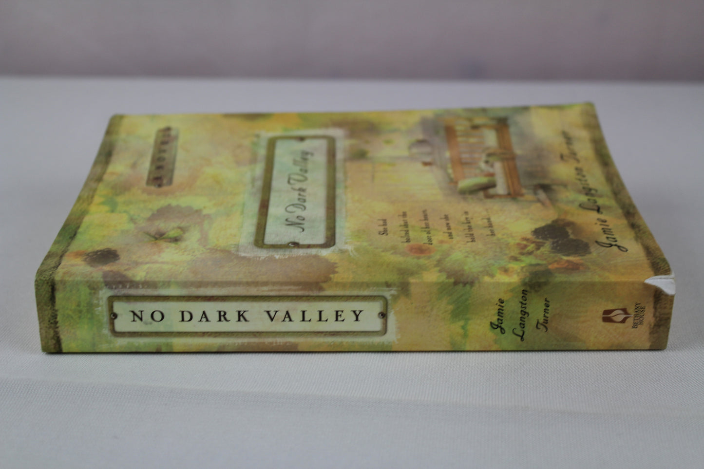 No Dark Valley (The Derby Series #5) by Jamie Langston Turner