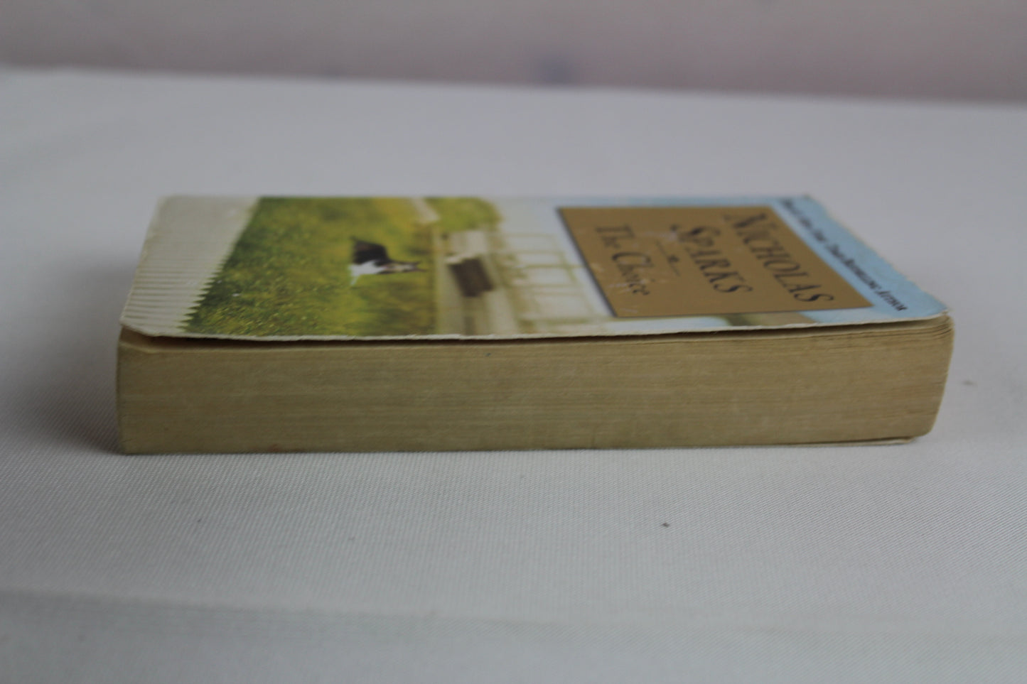 The Choice by Nicholas Sparks