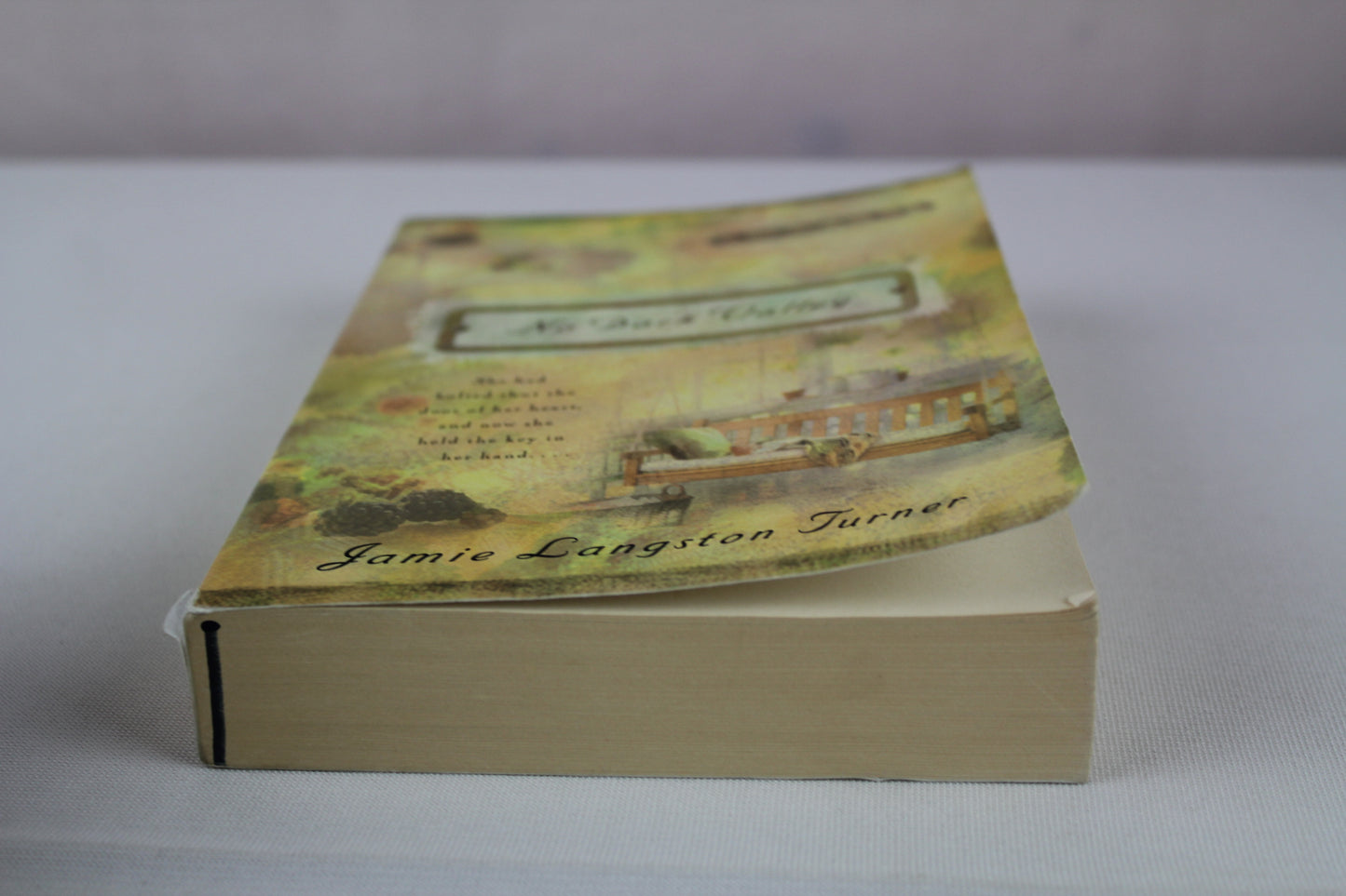 No Dark Valley (The Derby Series #5) by Jamie Langston Turner