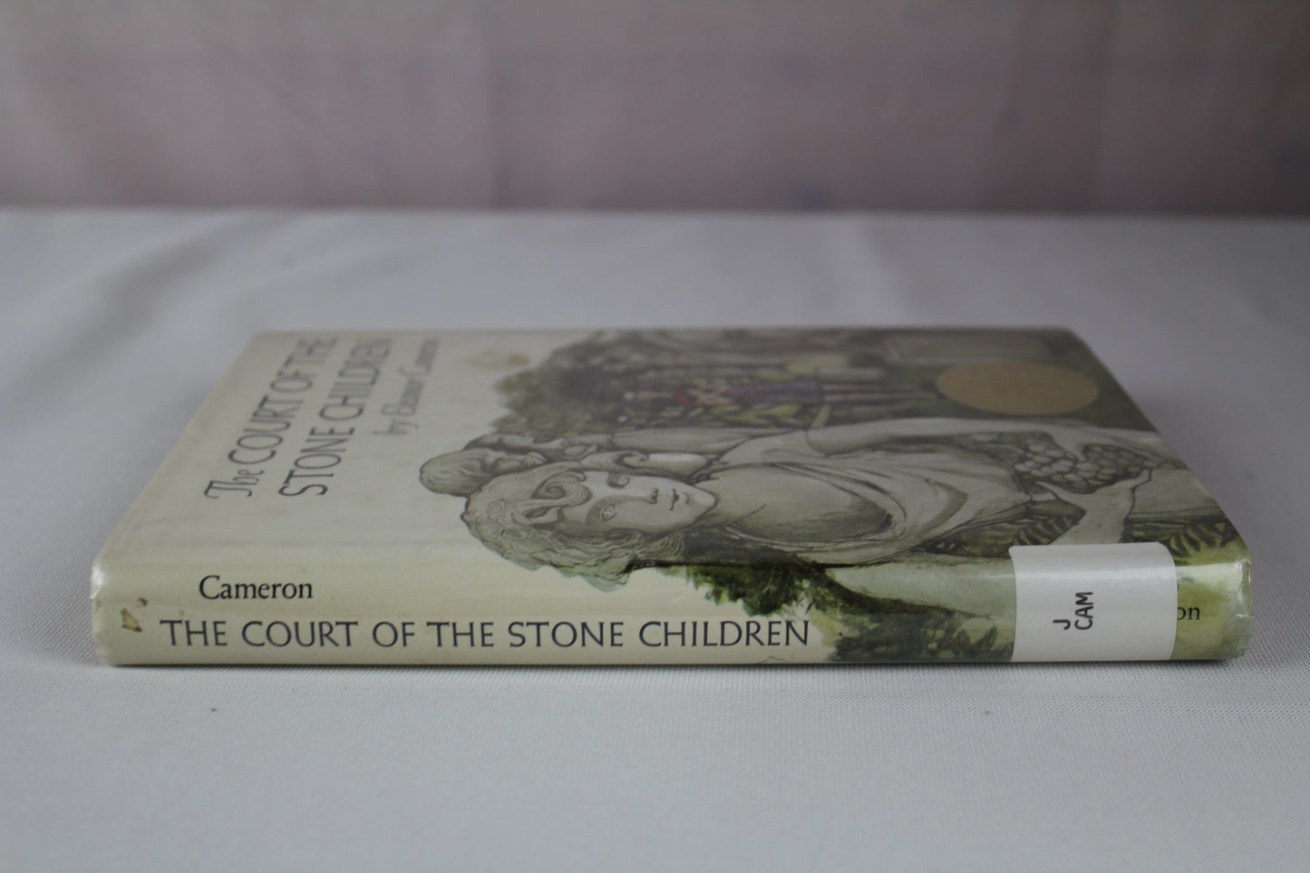 The Court of the Stone Children by Eleanor Cameron, Trina Schart Hyman, Riki Levinson