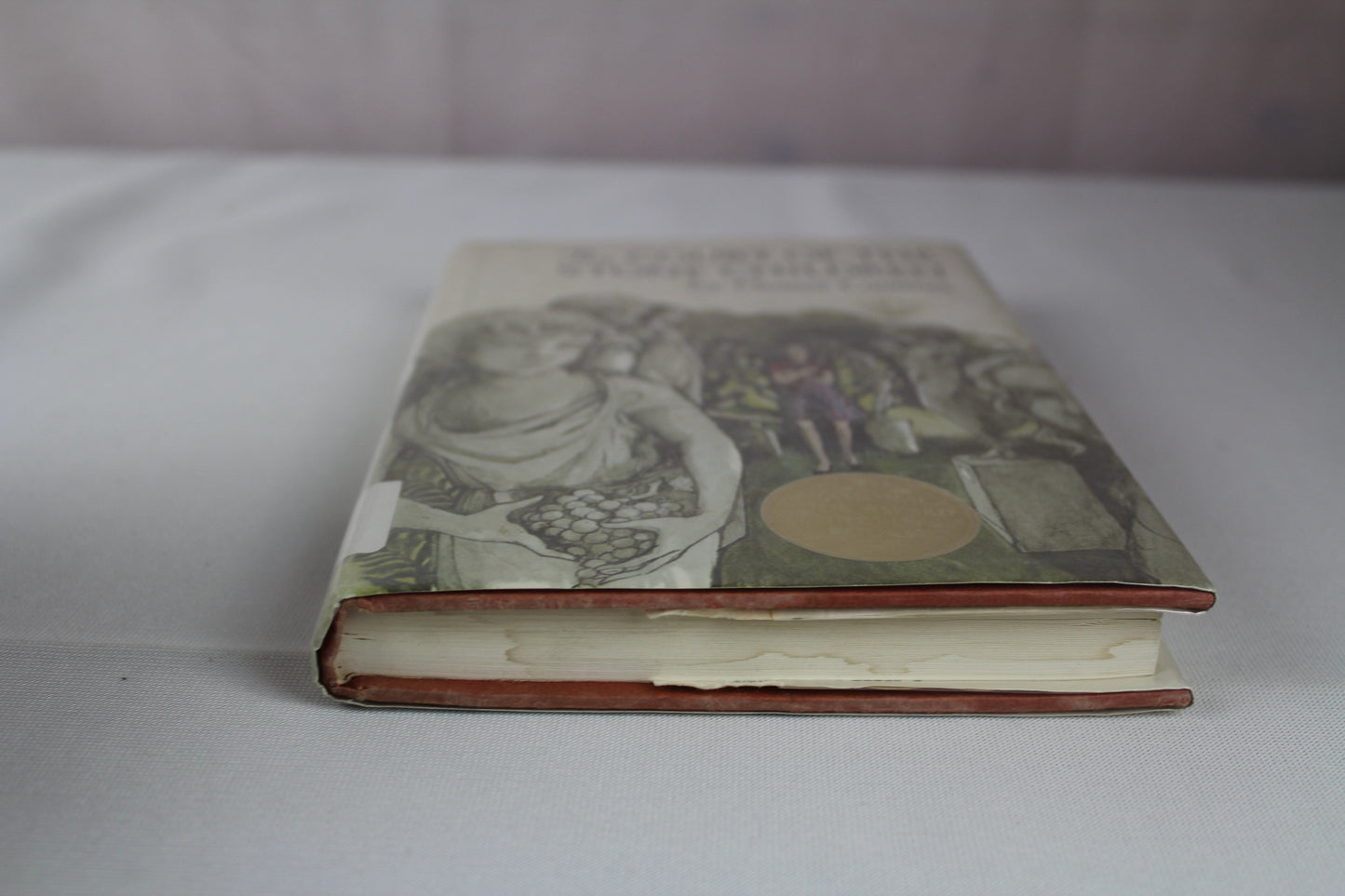 The Court of the Stone Children by Eleanor Cameron, Trina Schart Hyman, Riki Levinson
