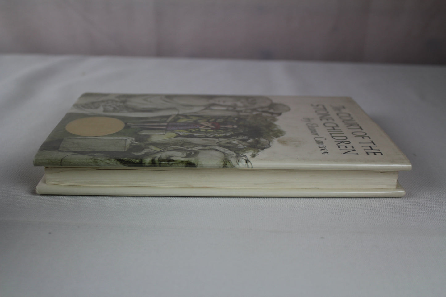 The Court of the Stone Children by Eleanor Cameron, Trina Schart Hyman, Riki Levinson
