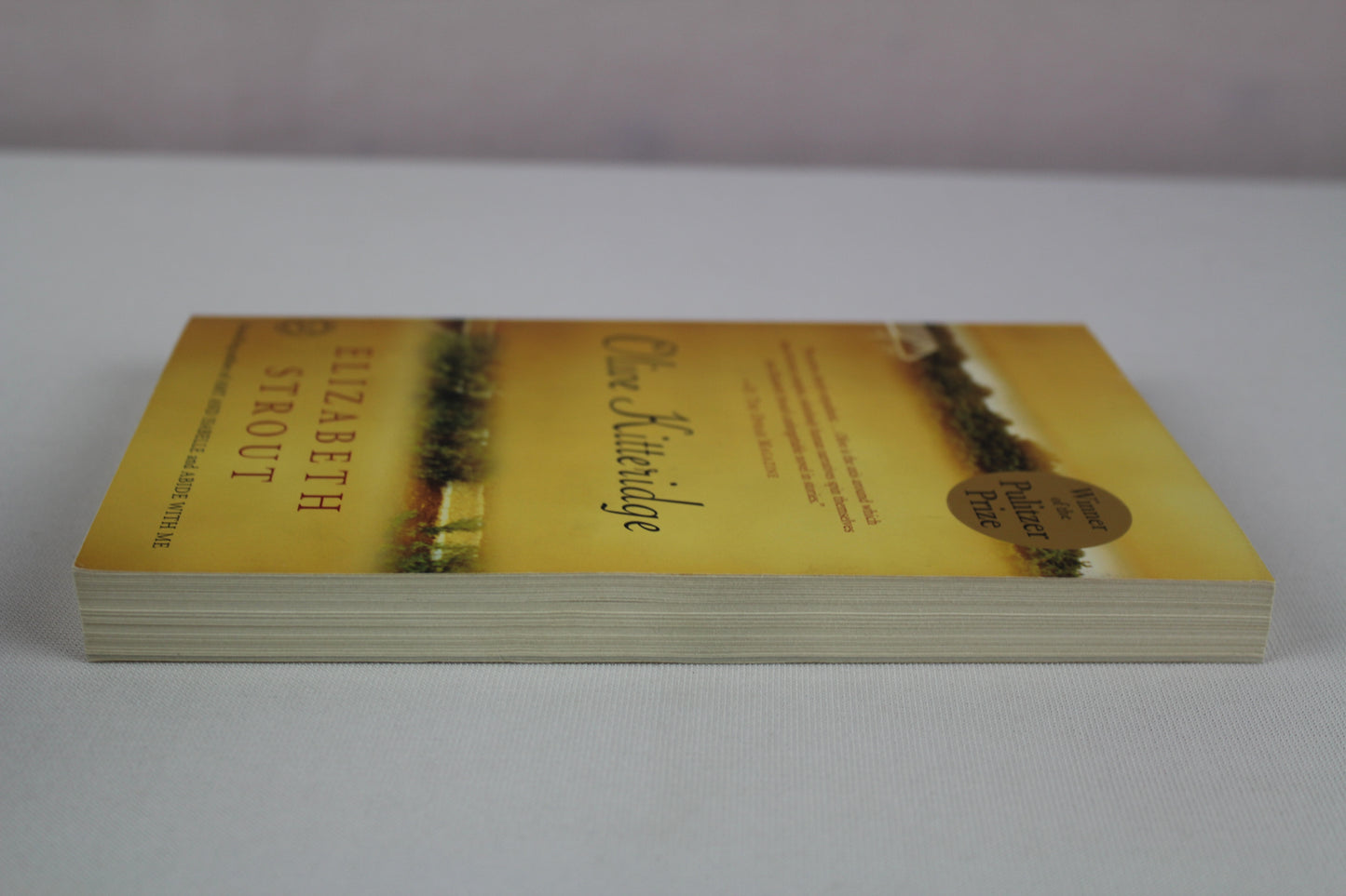 Olive Kitteridge by Elizabeth Strout