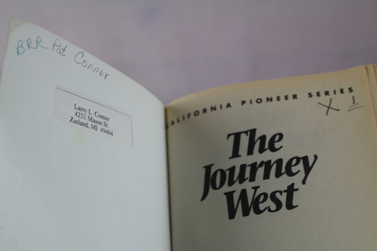 The Journey West (California Pioneer Series, Book I) by Elaine L. Schulte