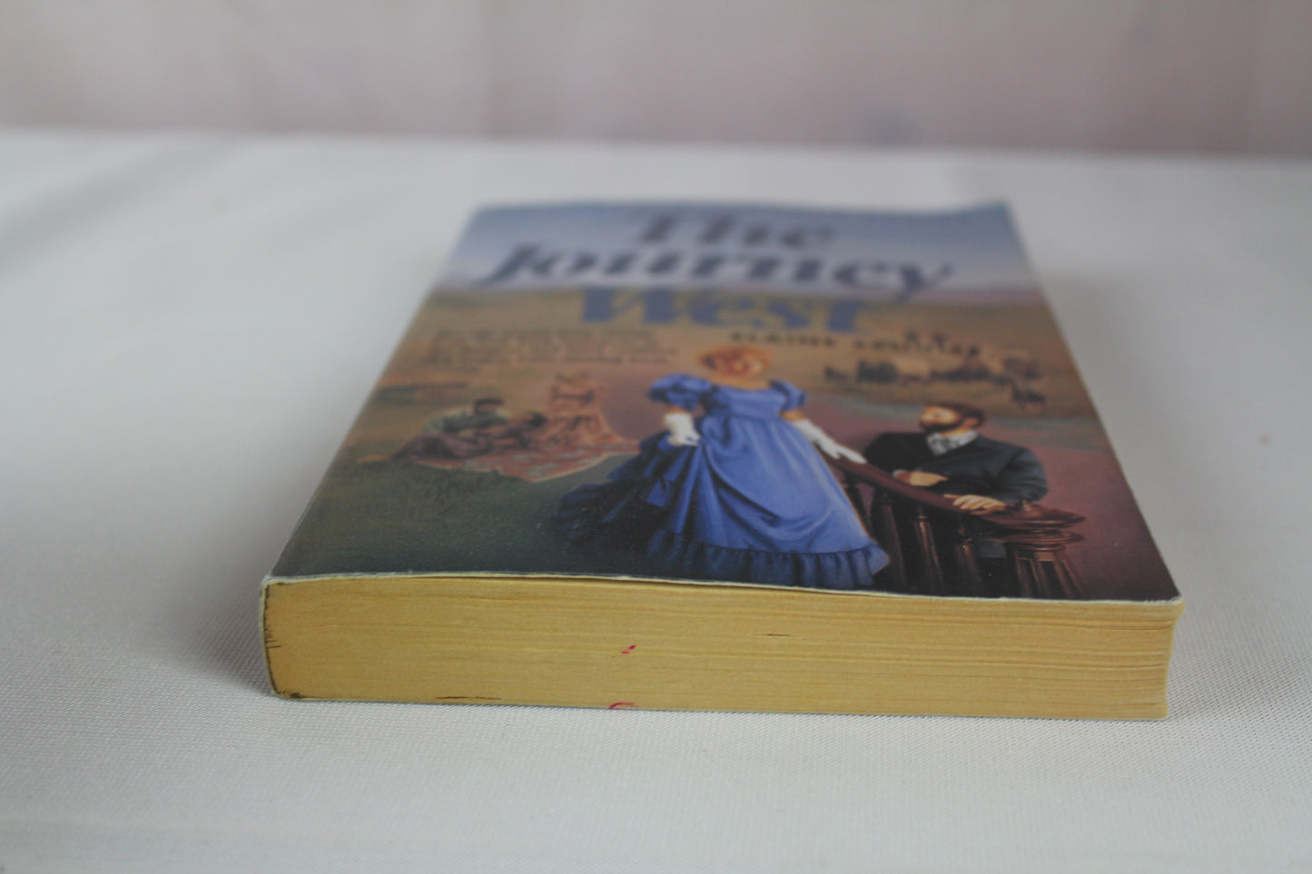 The Journey West (California Pioneer Series, Book I) by Elaine L. Schulte
