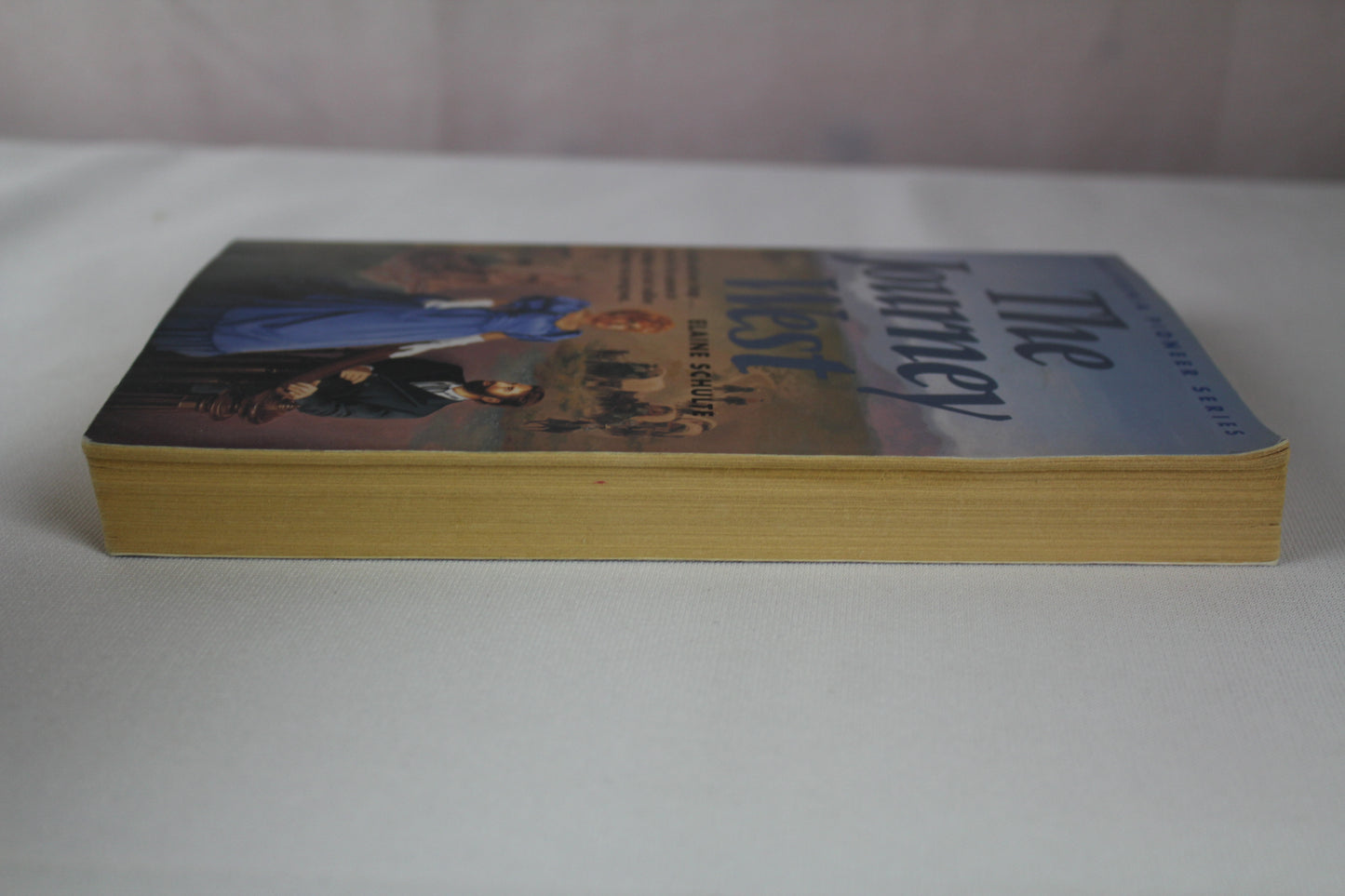 The Journey West (California Pioneer Series, Book I) by Elaine L. Schulte