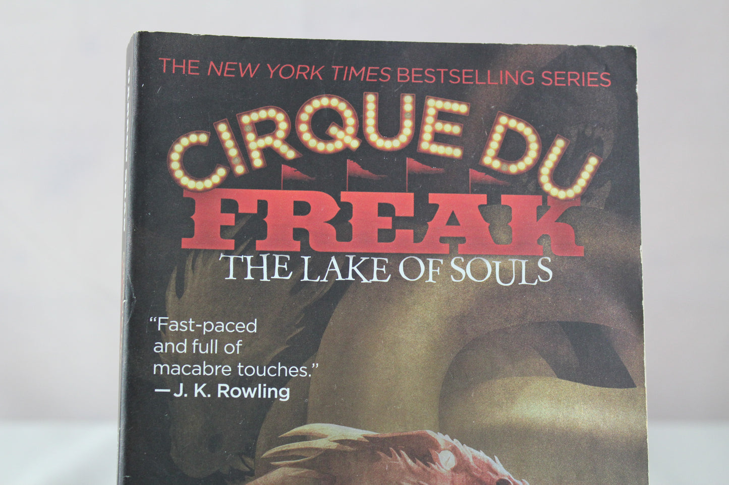 The Lake of Souls (Cirque Du Freak #10) by Darren Shan