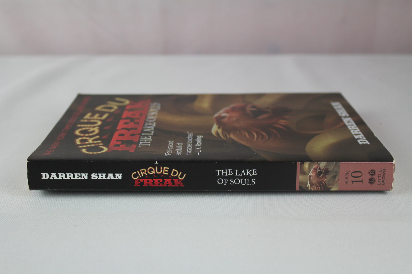 The Lake of Souls (Cirque Du Freak #10) by Darren Shan