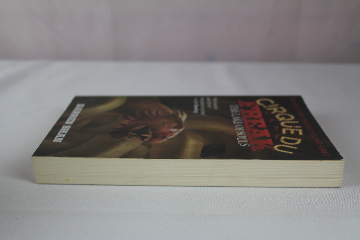 The Lake of Souls (Cirque Du Freak #10) by Darren Shan