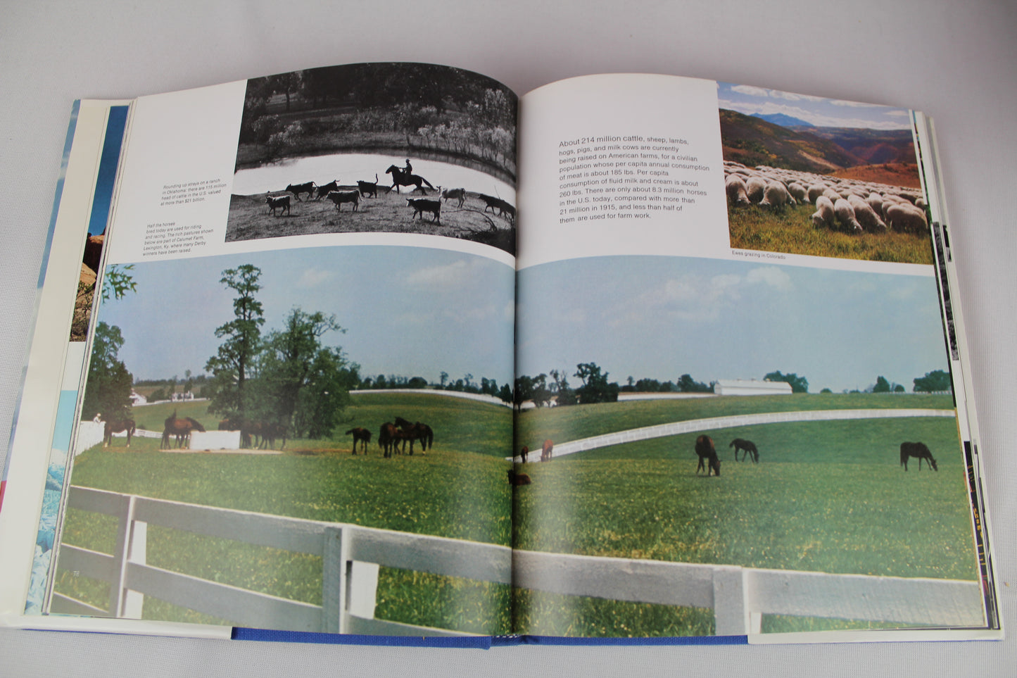 Our Country! America in Words and Pictures Large Illustrated Book  Hardcover
