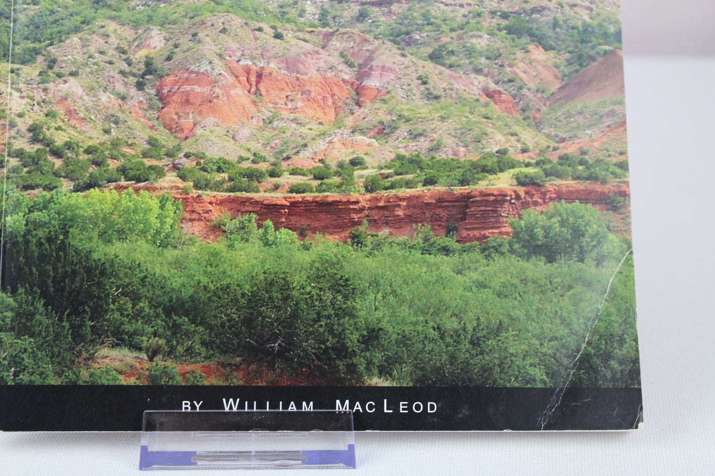 Palo Duro Vistas by William MacLeod