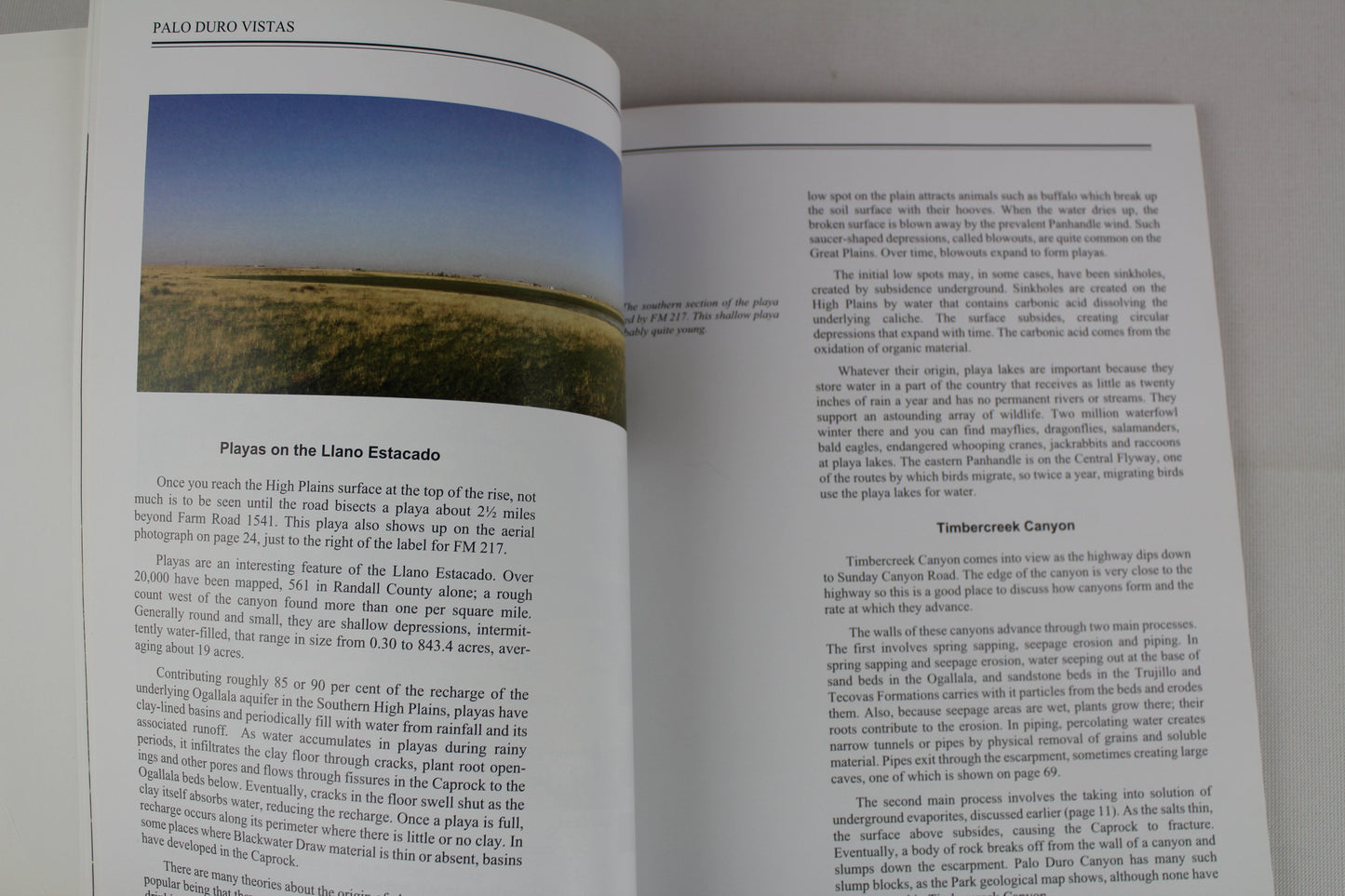 Palo Duro Vistas by William MacLeod