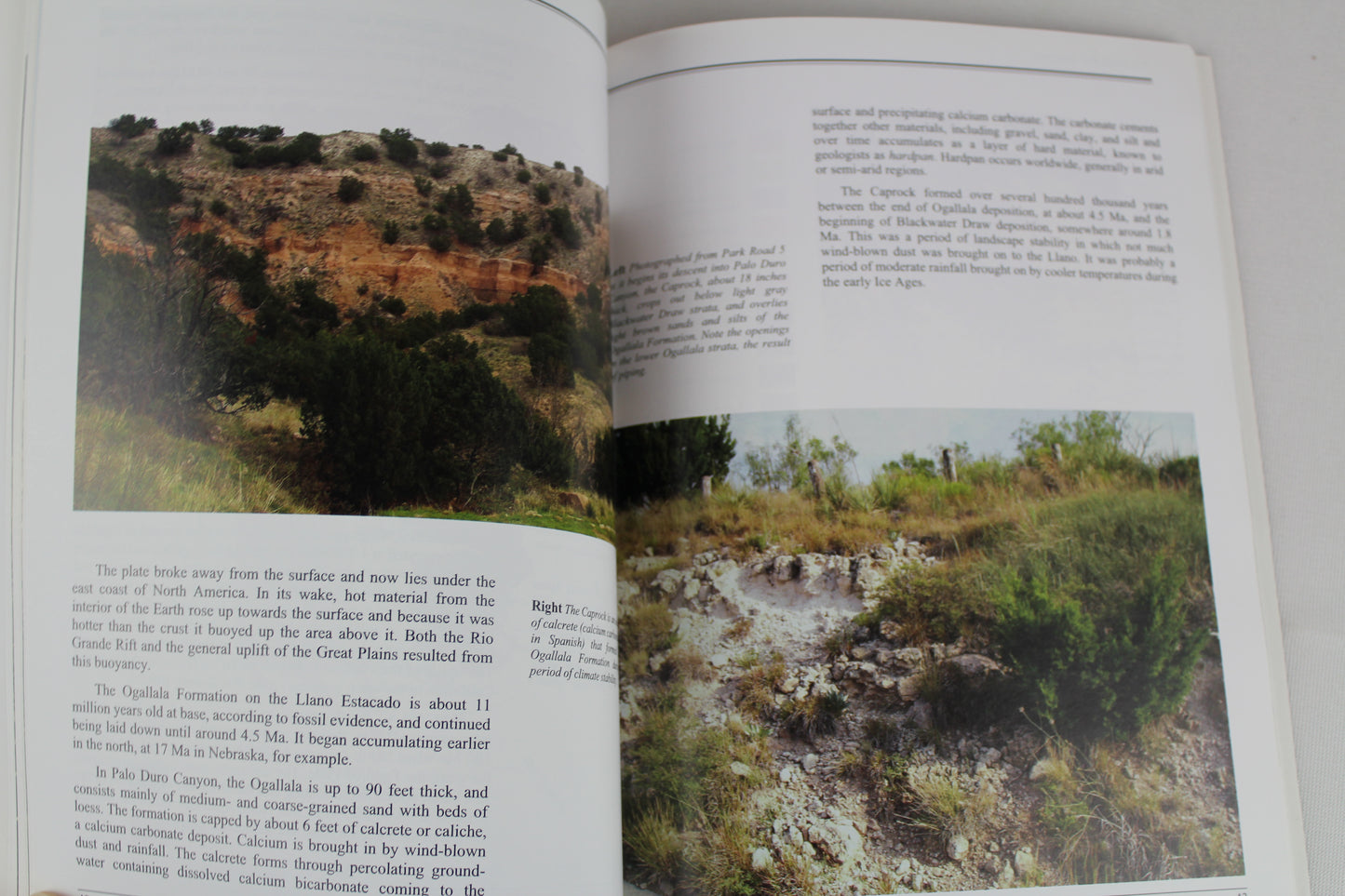 Palo Duro Vistas by William MacLeod
