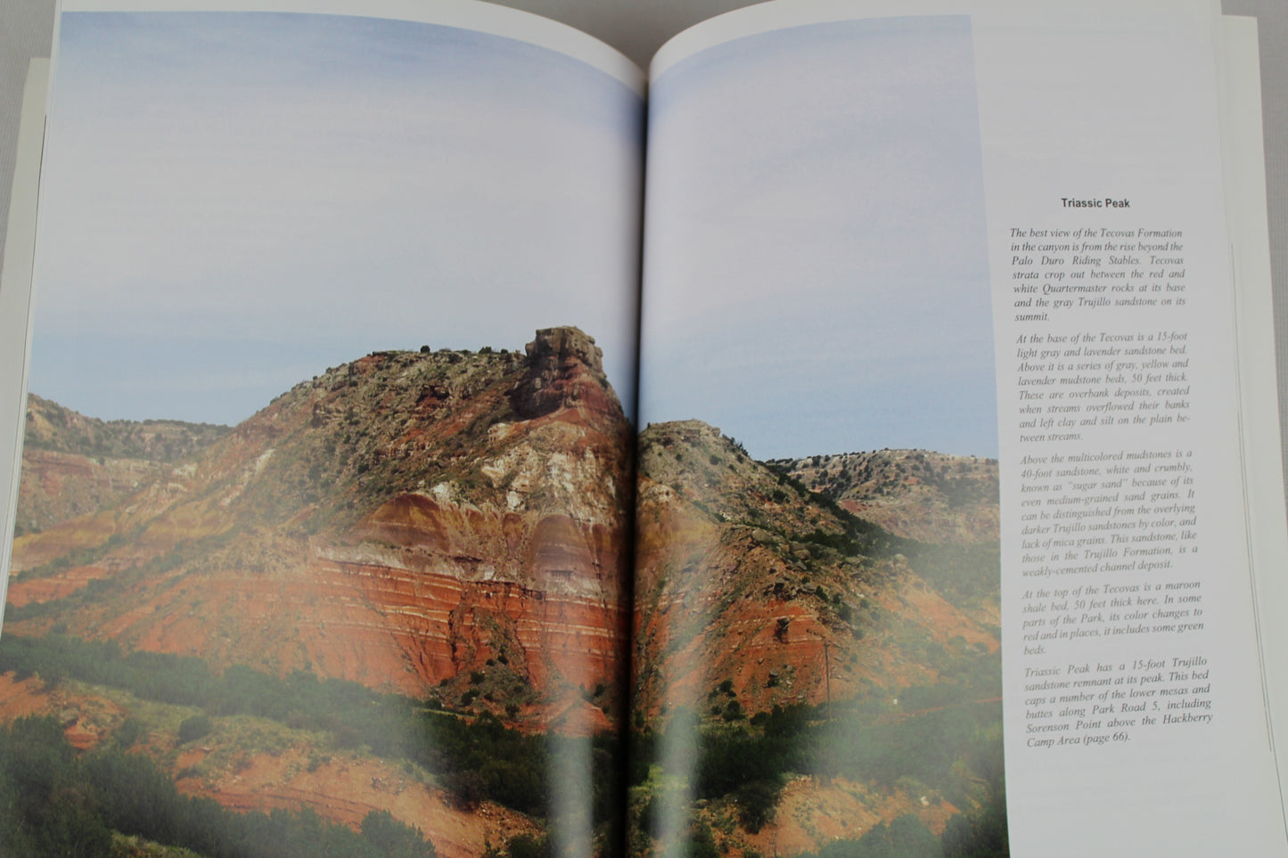Palo Duro Vistas by William MacLeod