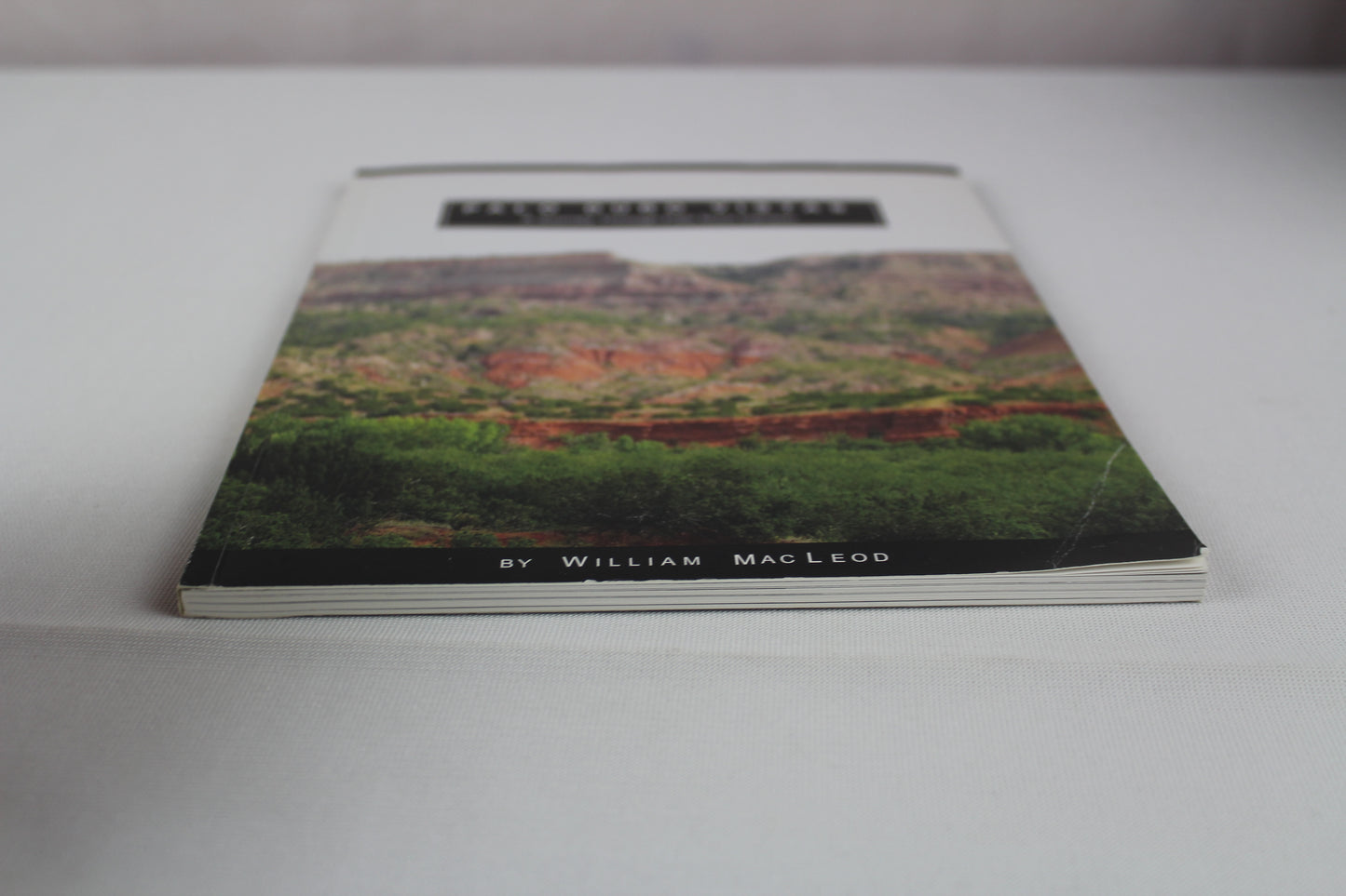 Palo Duro Vistas by William MacLeod
