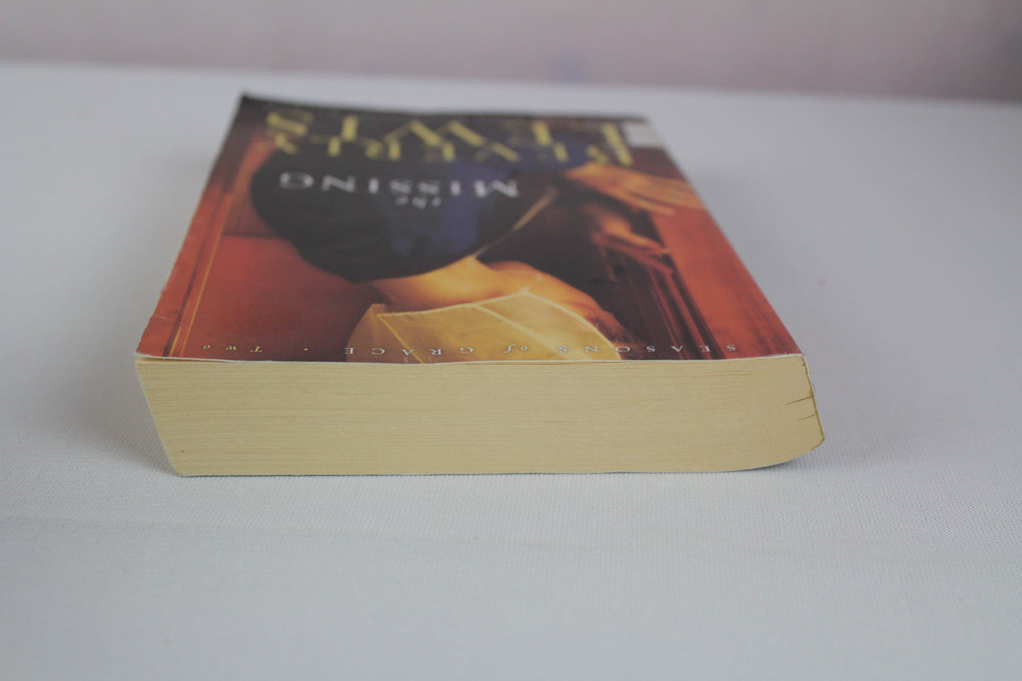 The Missing (Seasons of Grace, Book 2) by Beverly Lewis