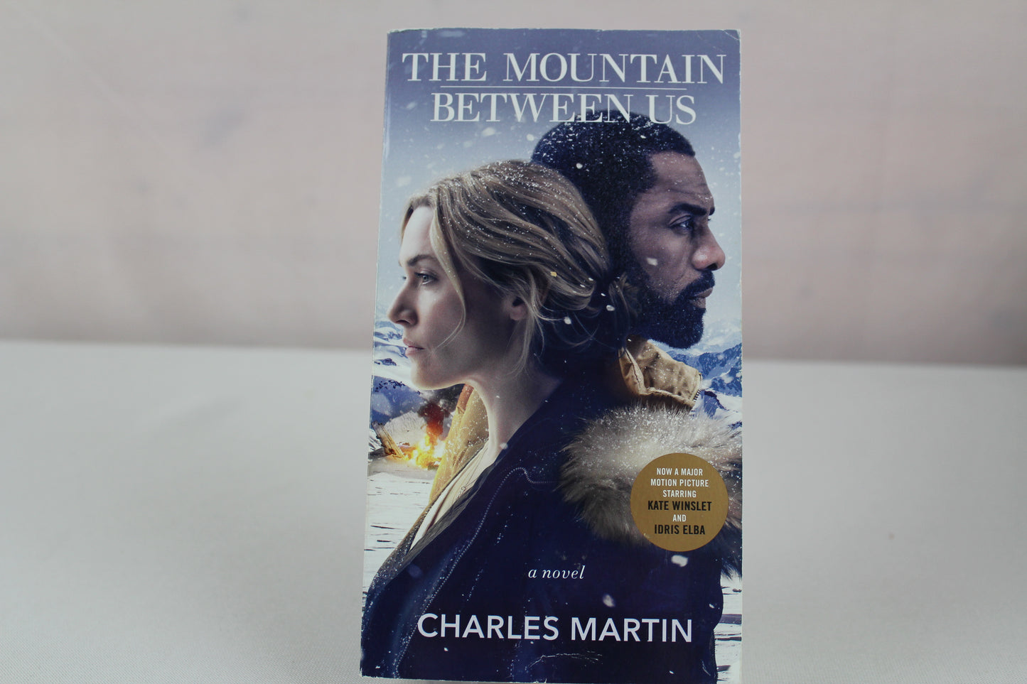 The Mountain Between Us (Movie Tie-In): A Novel by Charles Martin