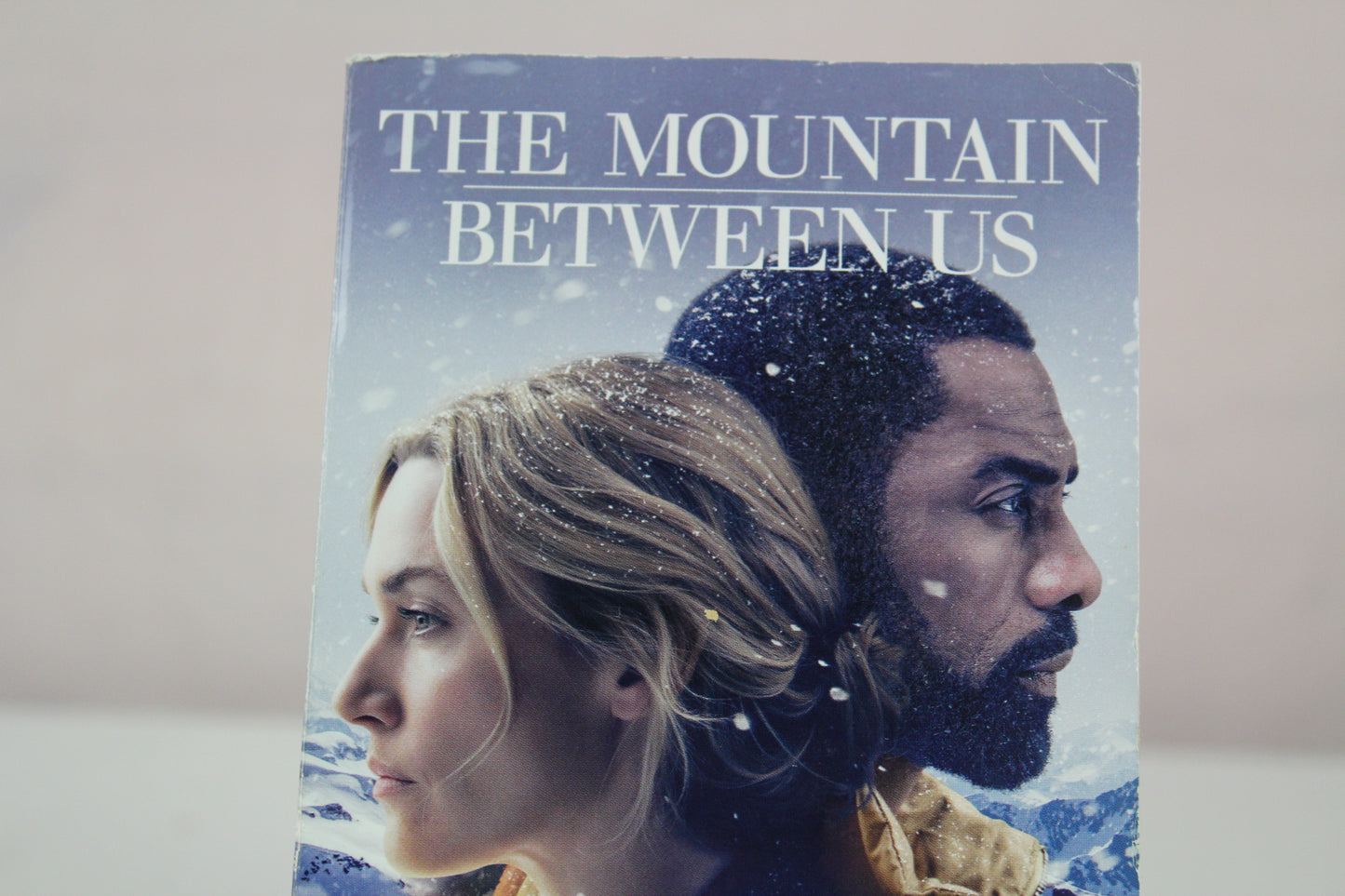 The Mountain Between Us (Movie Tie-In): A Novel by Charles Martin