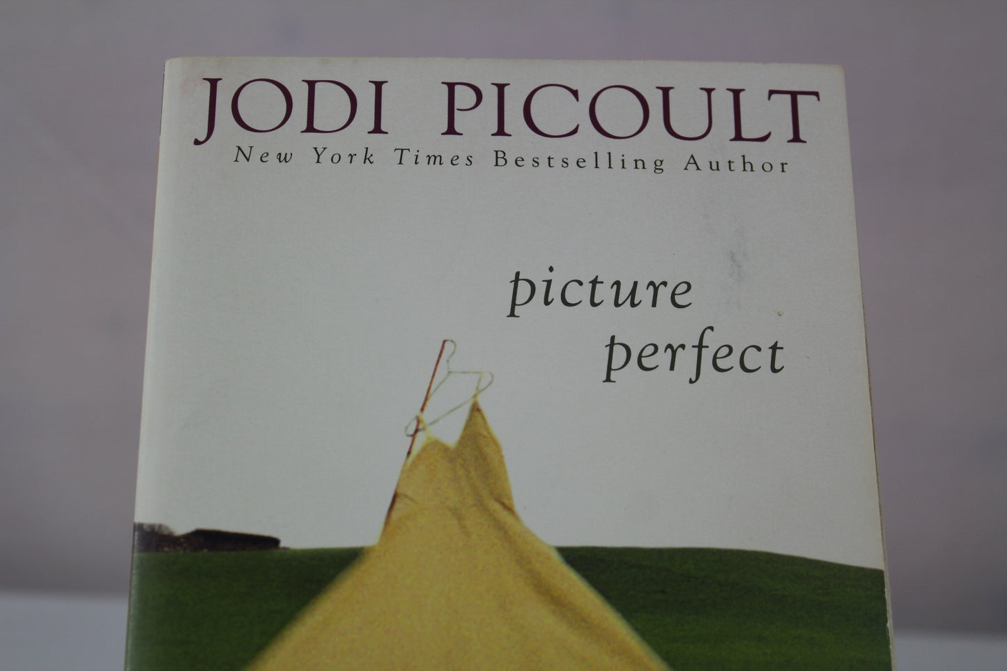 Picture Perfect by Jodi Picoult