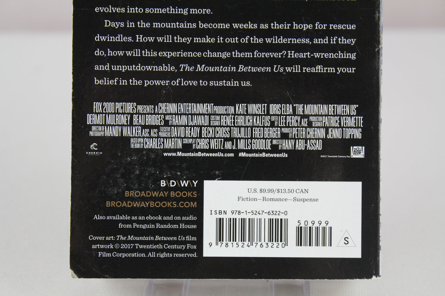 The Mountain Between Us (Movie Tie-In): A Novel by Charles Martin