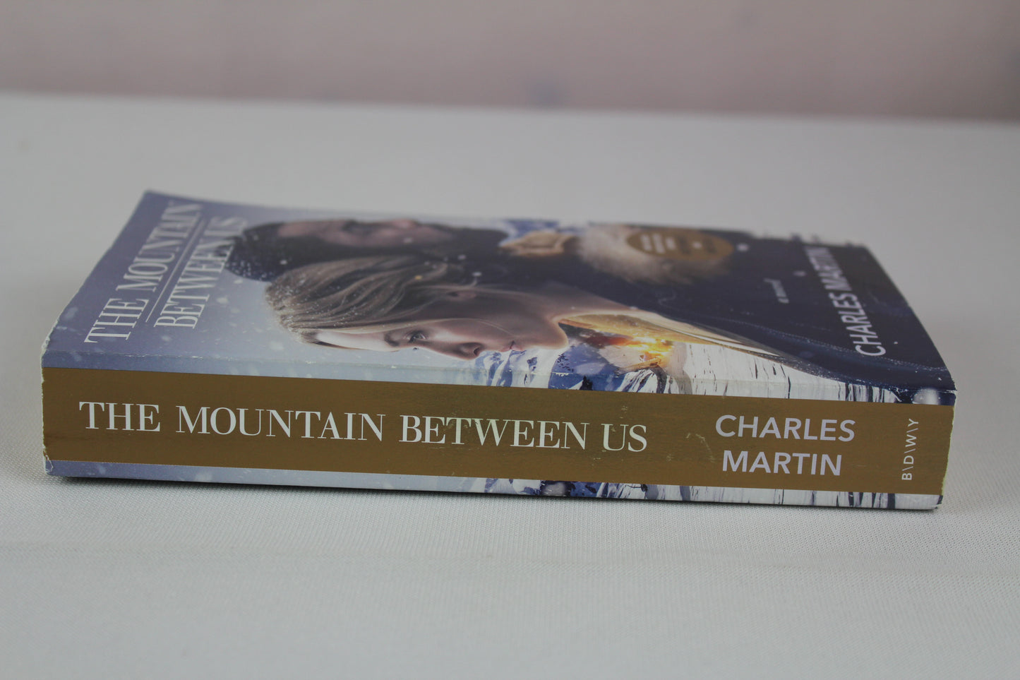 The Mountain Between Us (Movie Tie-In): A Novel by Charles Martin