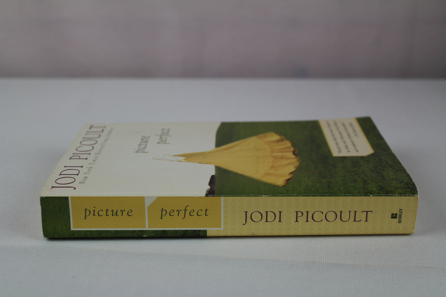 Picture Perfect by Jodi Picoult