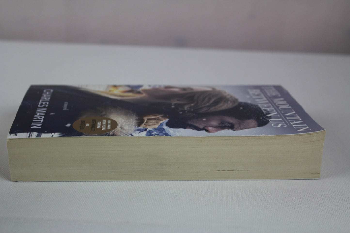 The Mountain Between Us (Movie Tie-In): A Novel by Charles Martin