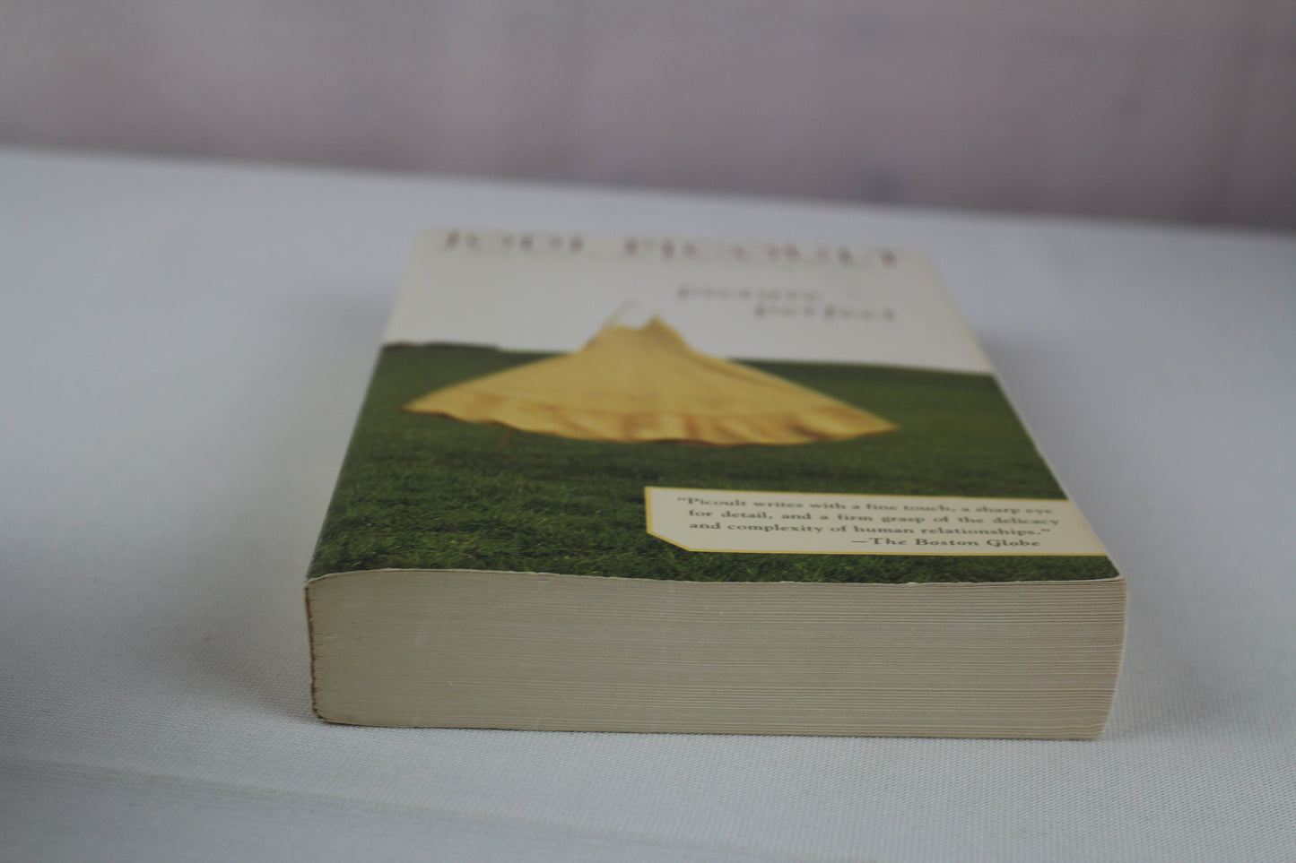 Picture Perfect by Jodi Picoult