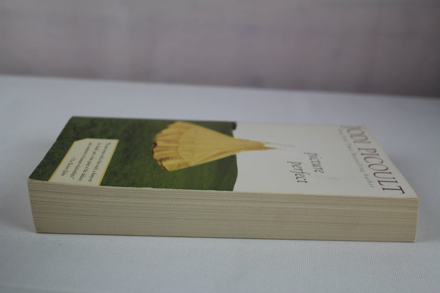 Picture Perfect by Jodi Picoult